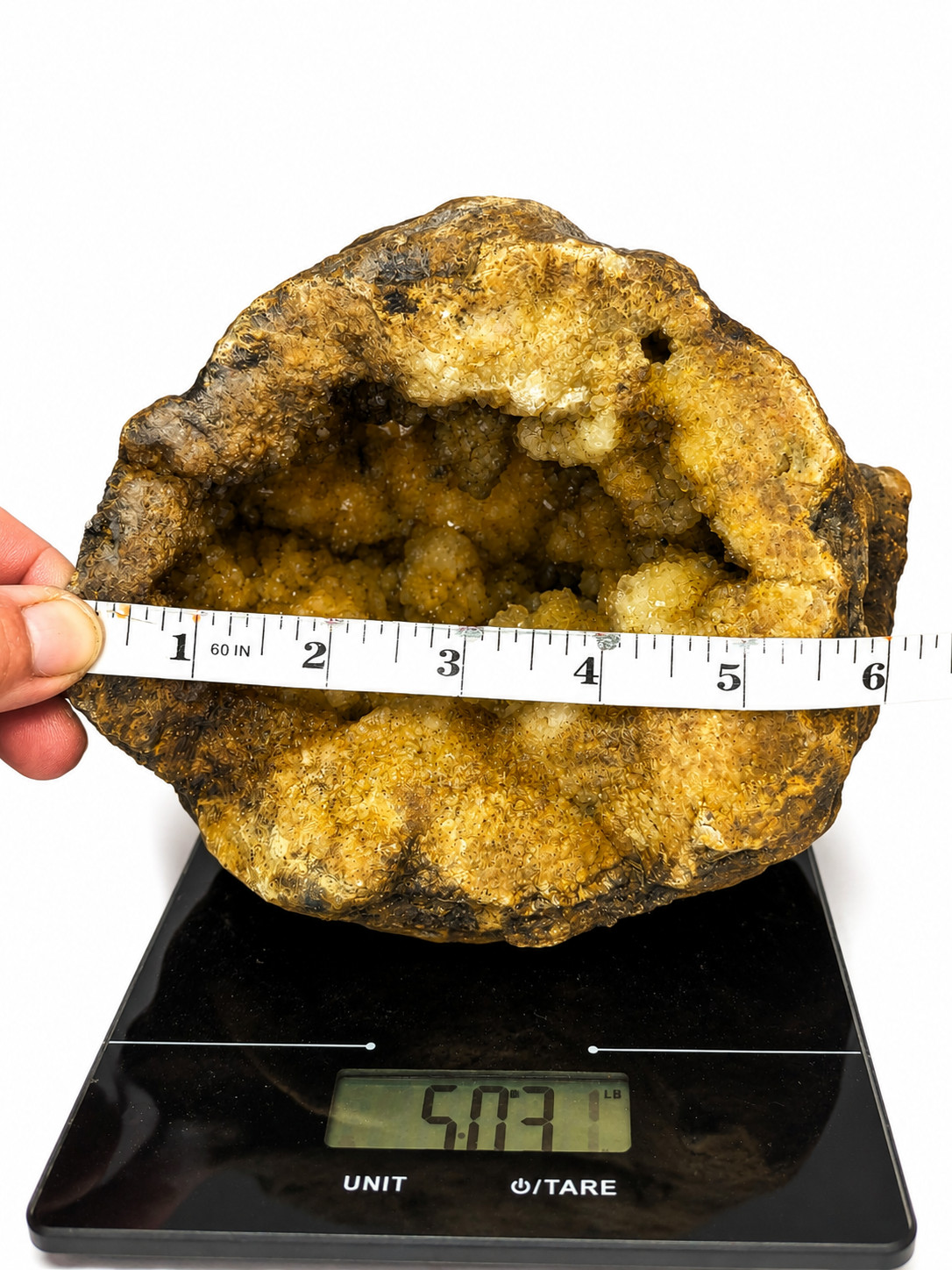 5 lb 3 oz Open KY Geode Golden Crystal Cavity Large Display Specimen Collectible