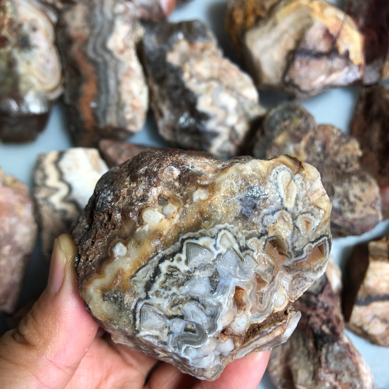 5kg wholesale Natural crazy Mexican agate Crystal gemstone rough original