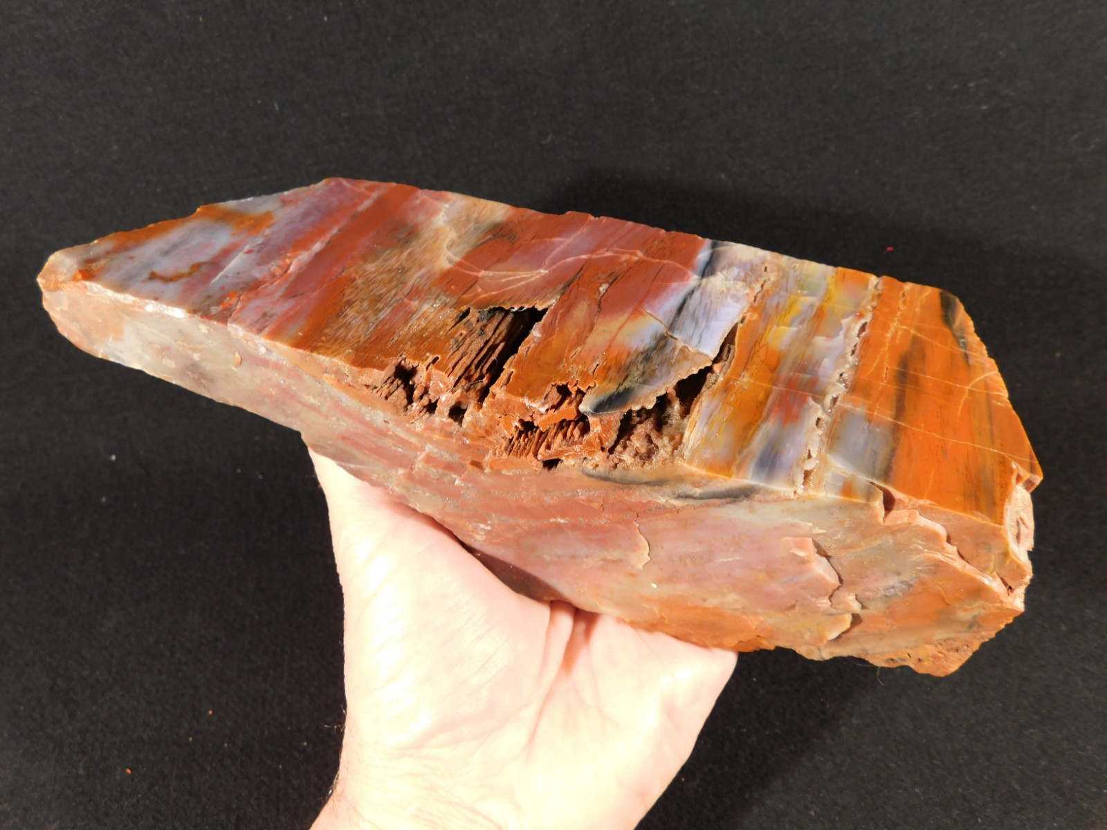 Big Free Standing Polished Deep RED Petrified RAINBOW WOOD Fossil Arizona 1791gr