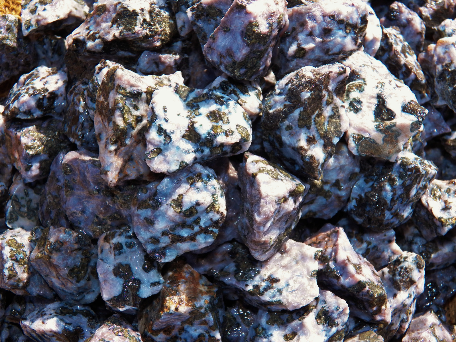 2000 Carat Lots of Indigo Gabbro Rough – Plus a FREE Faceted Gemstone