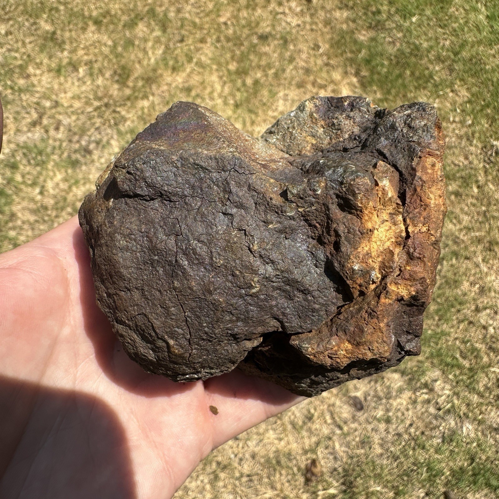 Mt Skukum Pyrite Nodule 3.75 Inch Collector Mineral Rock Specimen Yukon 1076.3g