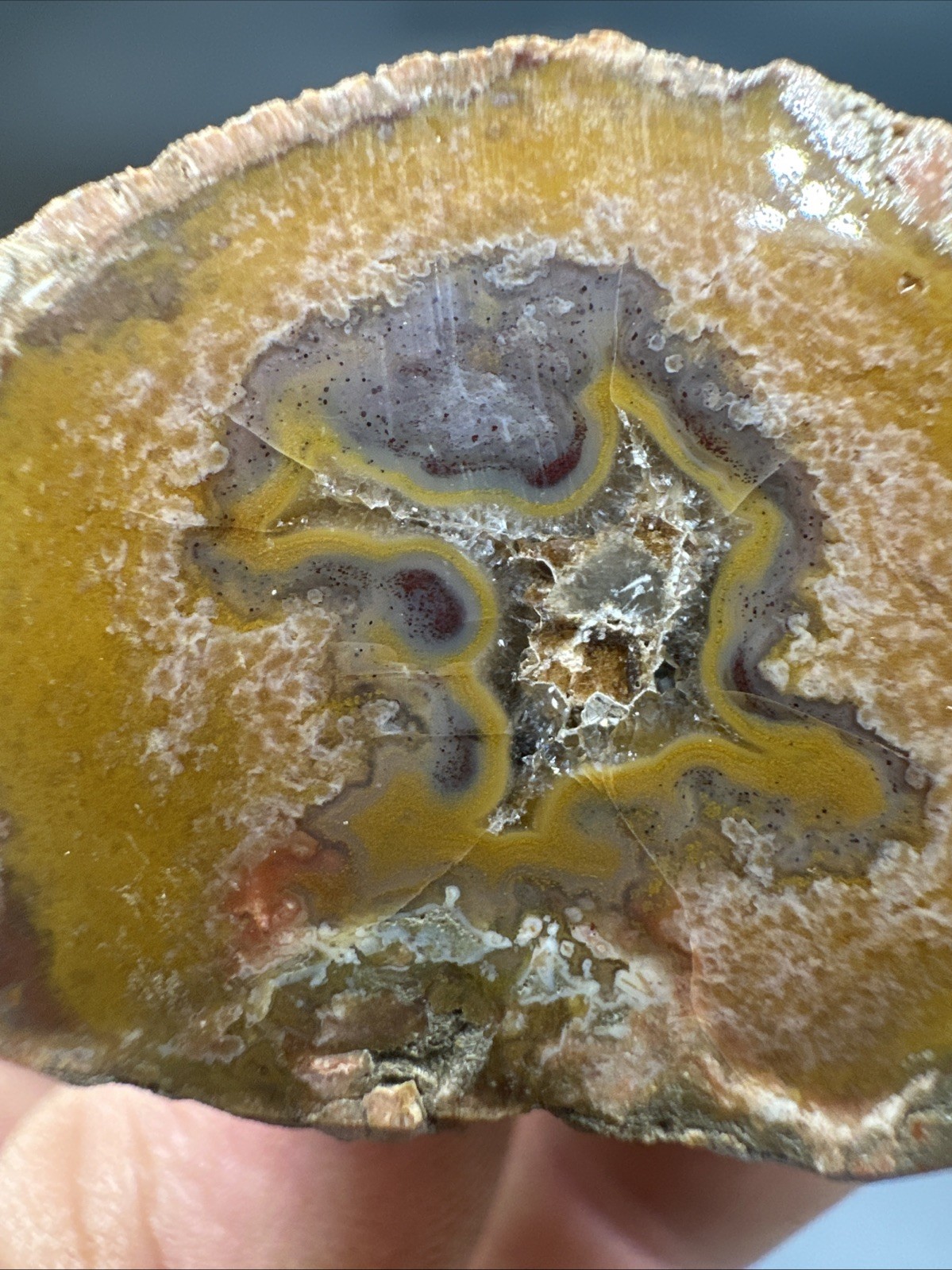 Kentucky Agate Polished Specimen Collector Grade Yellow Moss
