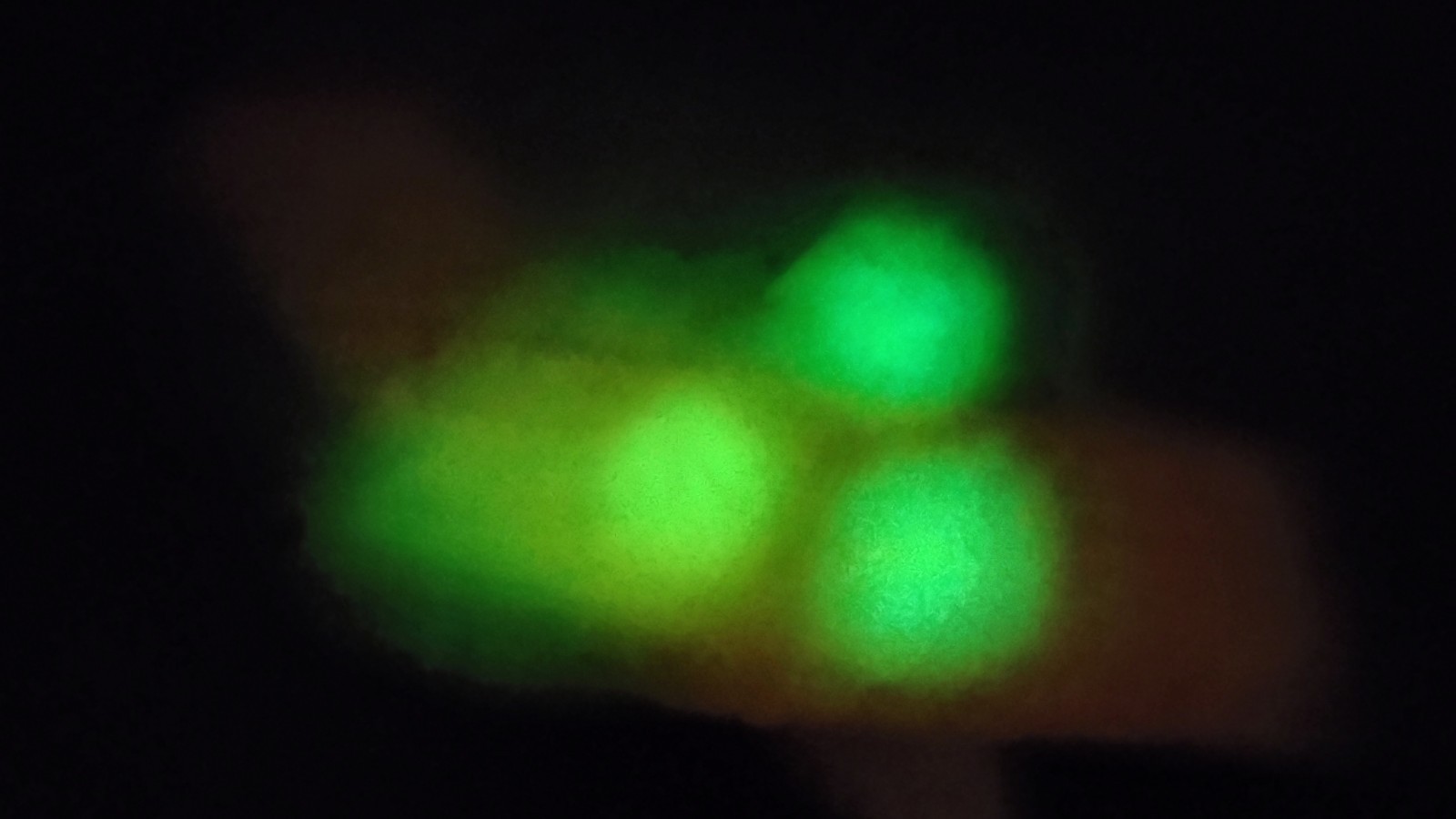 Fluorescent & Phosphorescent Travertine ( Cave Calcite & Aragonite)