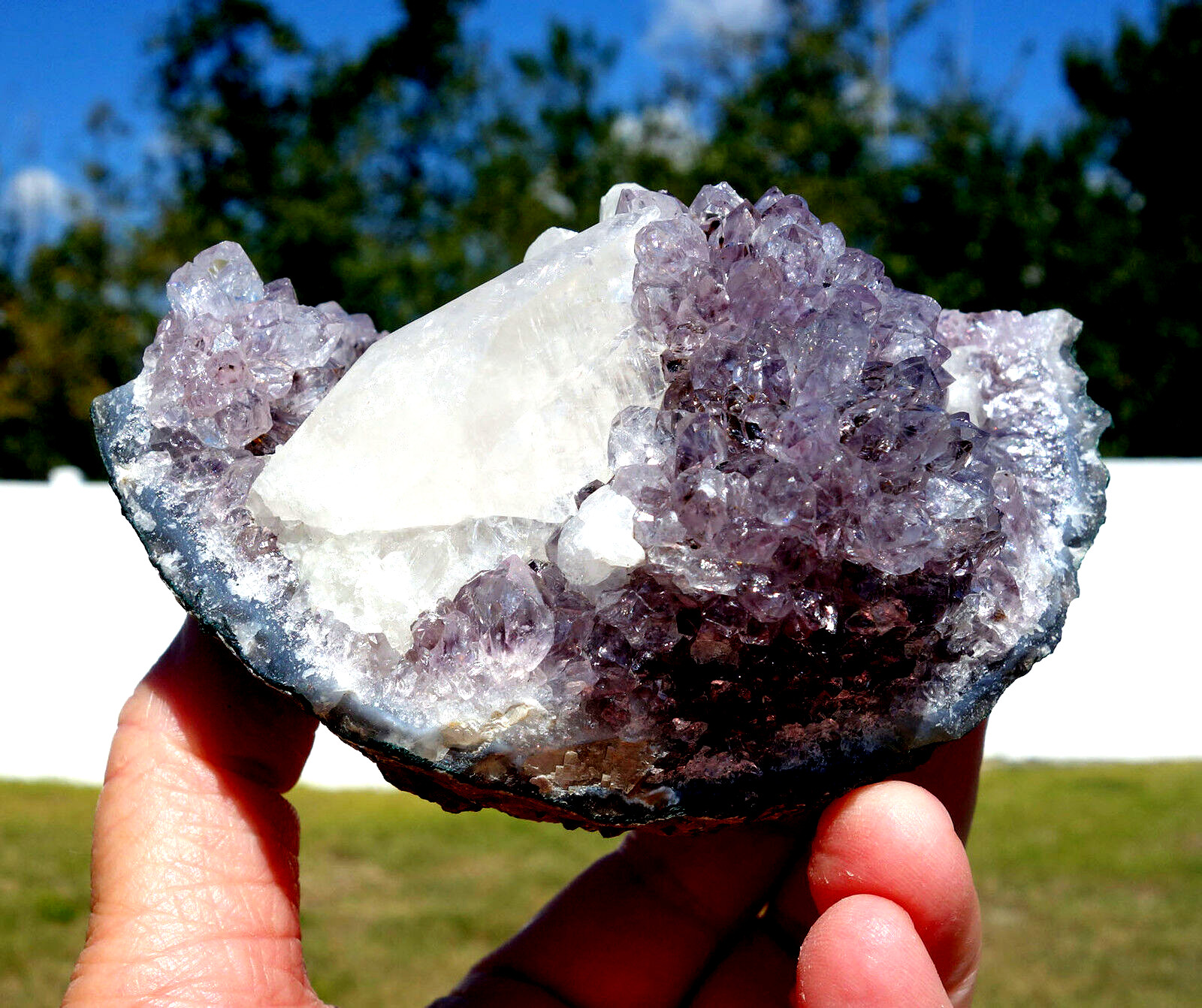 White DOGTOOTH Calcite in AMETHYST Crystal Point Stalactite Quartz Cluster
