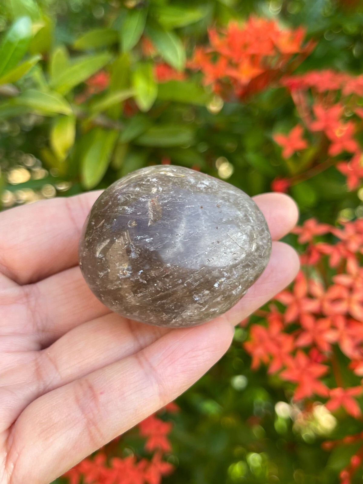 Smoky Quartz Pebble, 1-2 Inches Large Tumbled Smoky Quartz, Pick How Many