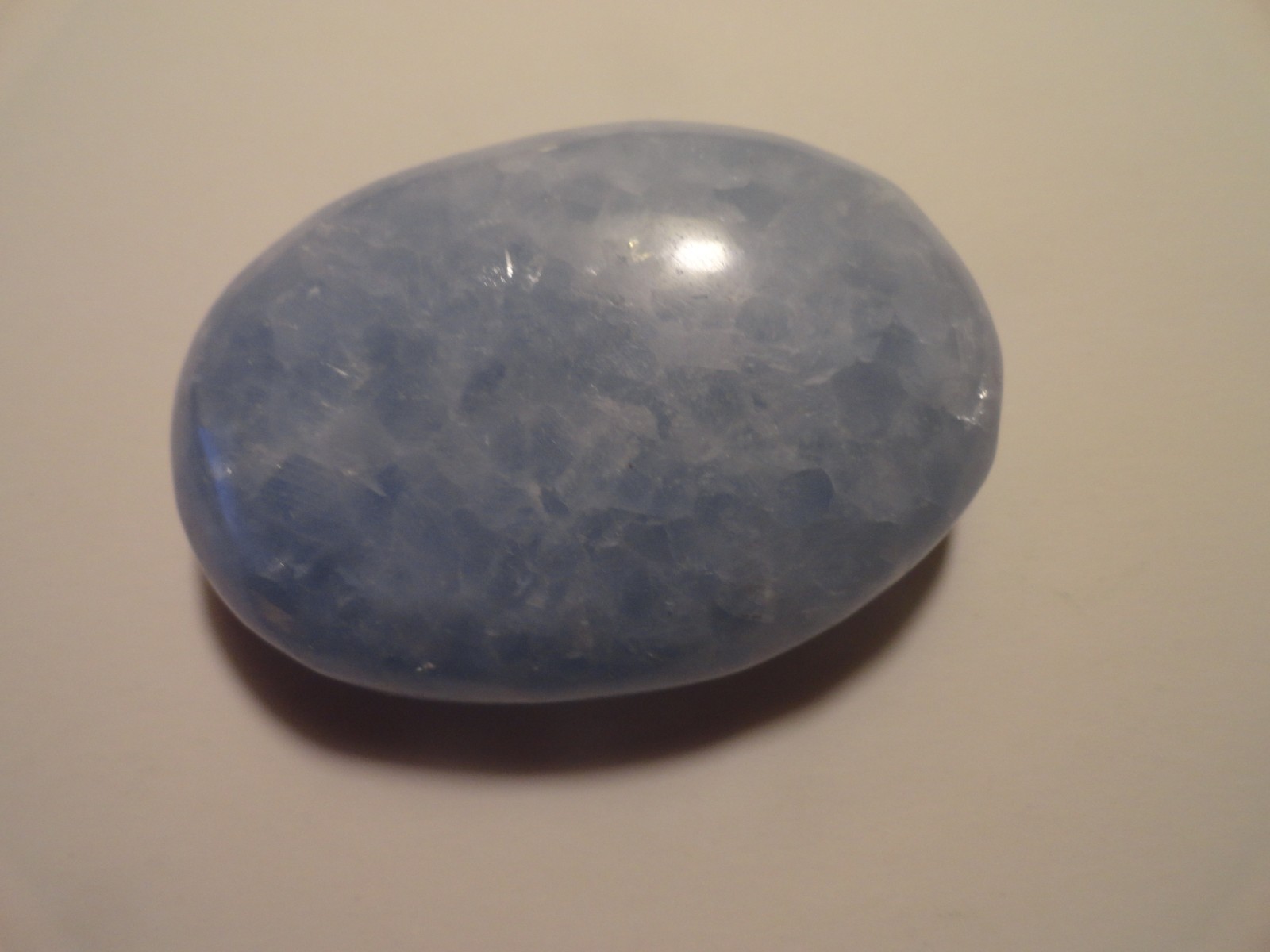 Polished Palm Stone lot
