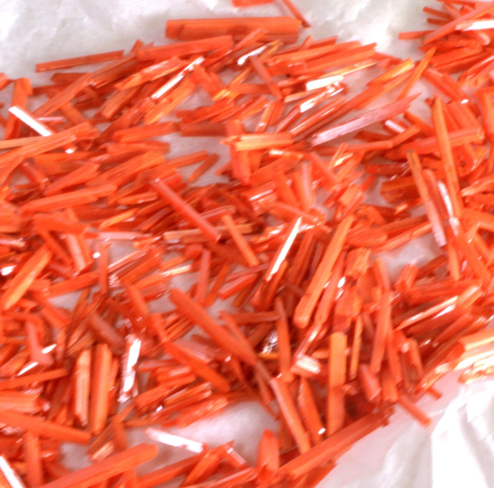 #5186 Crocoite Crystal Stick – Adelaide Mine, Tasmania [5 PIECES ONLY]