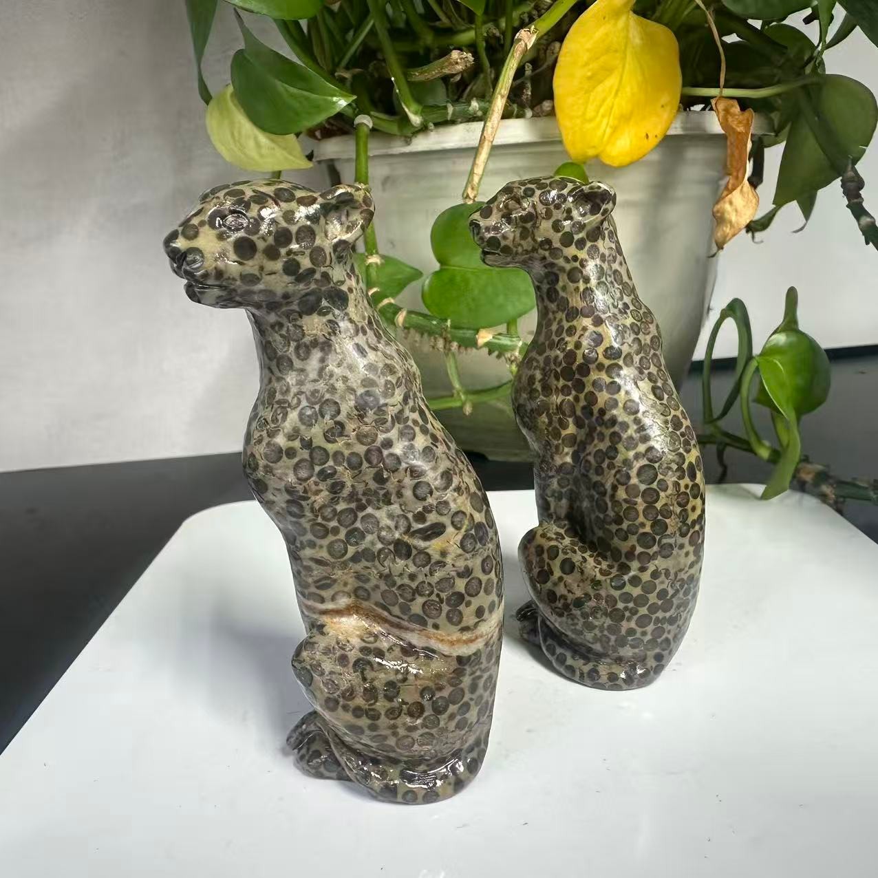 1pc Natural Money Leopard Stone Quartz Carved Leopard Skull Crystal Reiki Decor