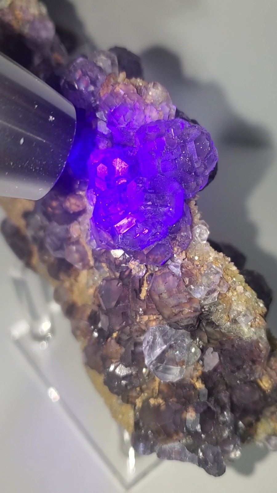 Tanzanite Fluorite On tan-colored quartz-rich matrix Statement PEACE 1KG 210G