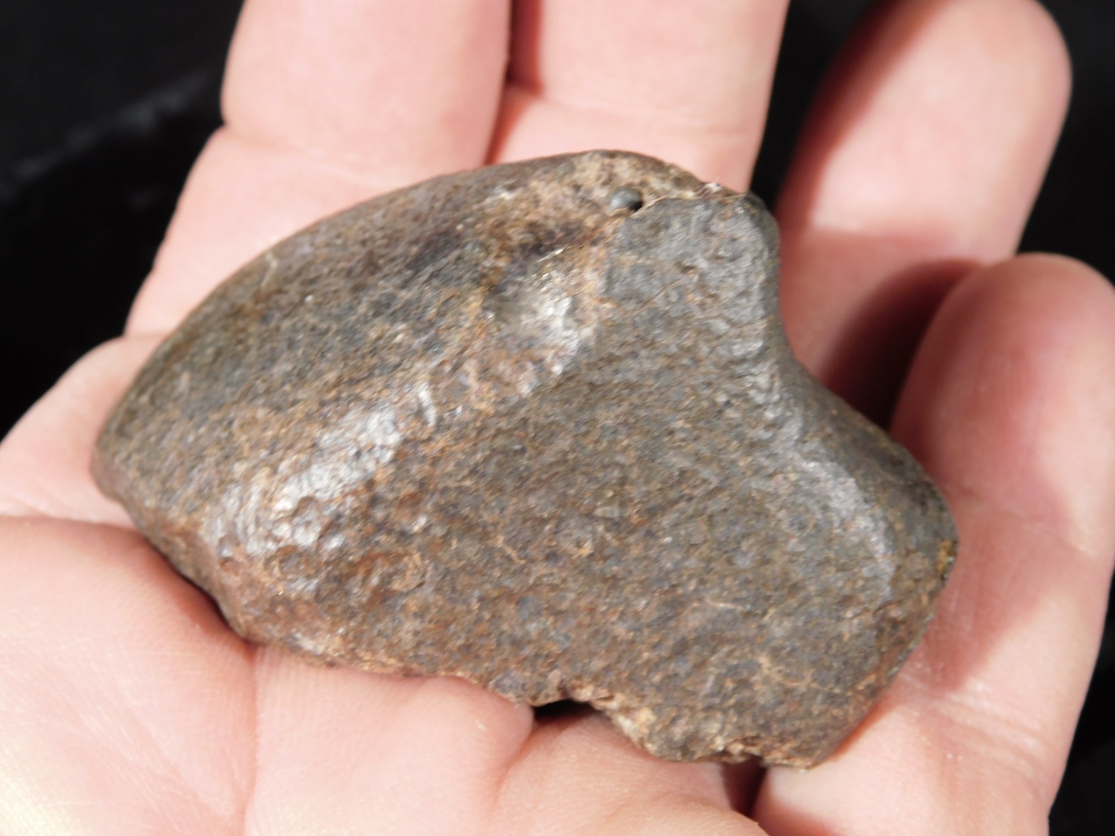 Stony N.W.A. METEORITE 100% Natural FELL in Libya 98.4gr