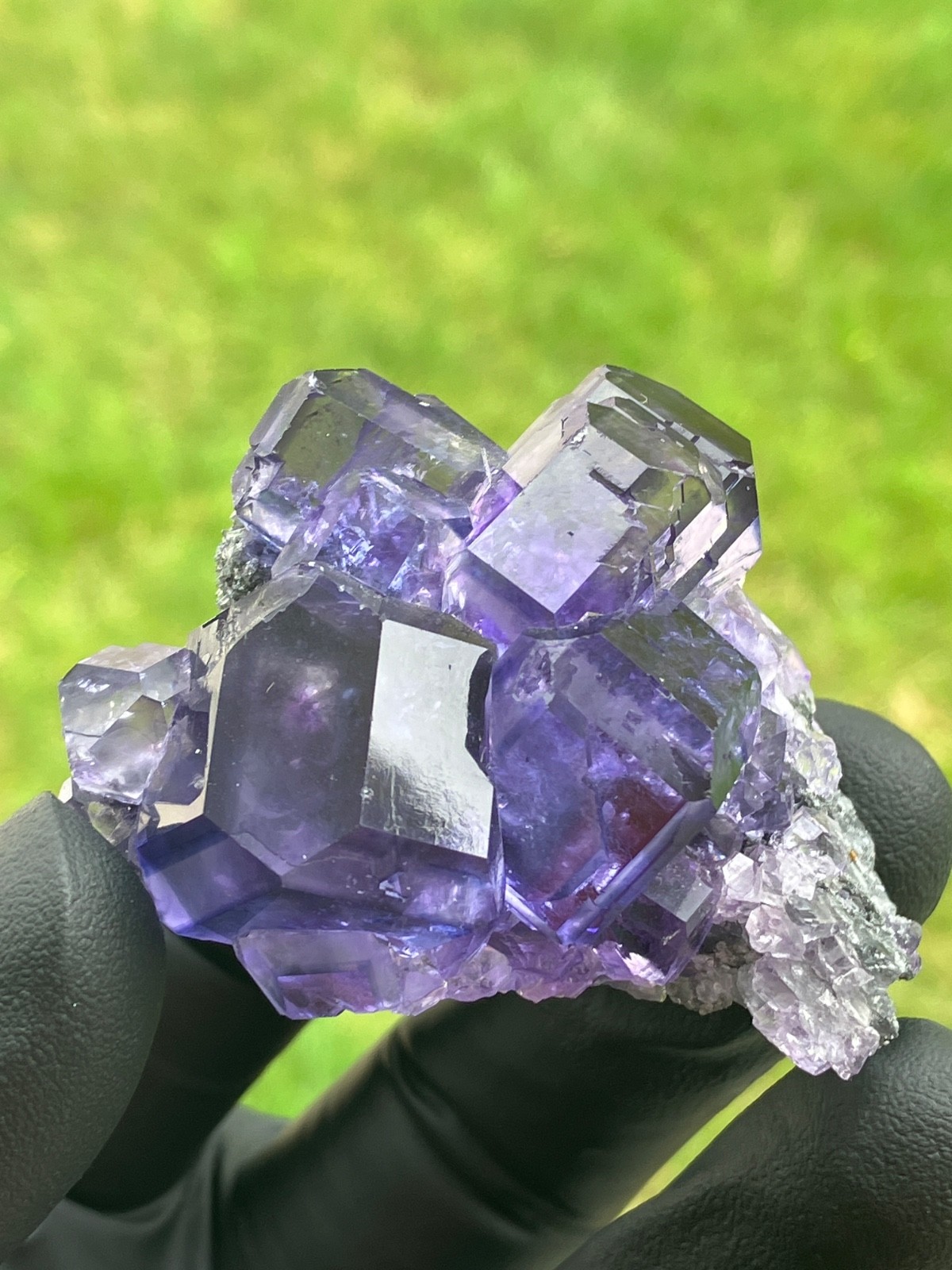 “Tanzanite” Fluorite gemmy lustrous large crystals XiaYang Mine Fujian China