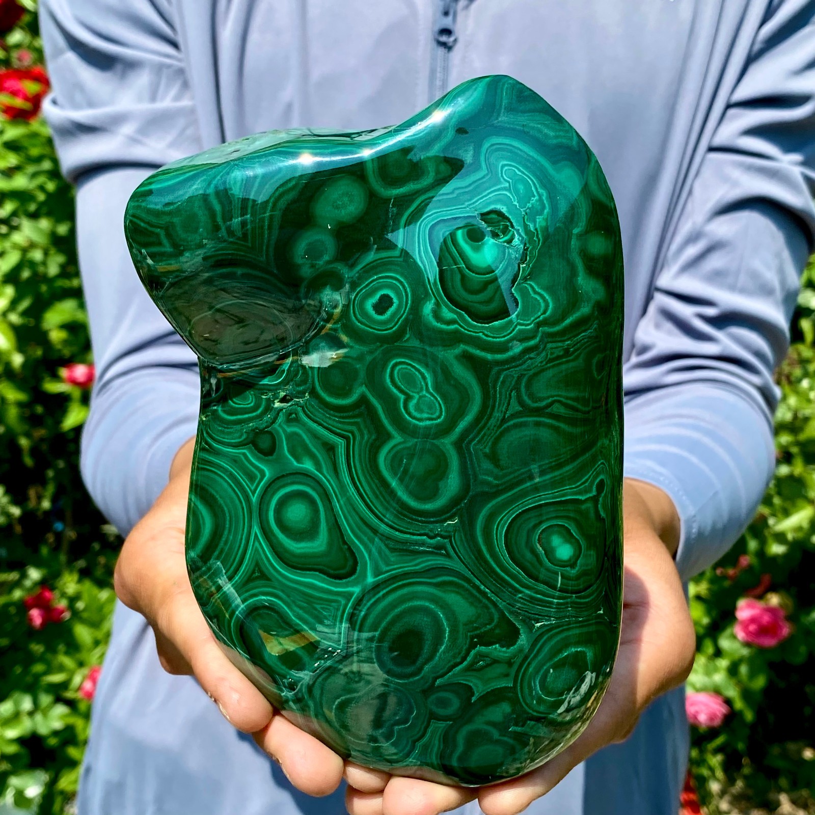 3.9LB Natural glossy Malachite egg transparent cluster rough mineral sample