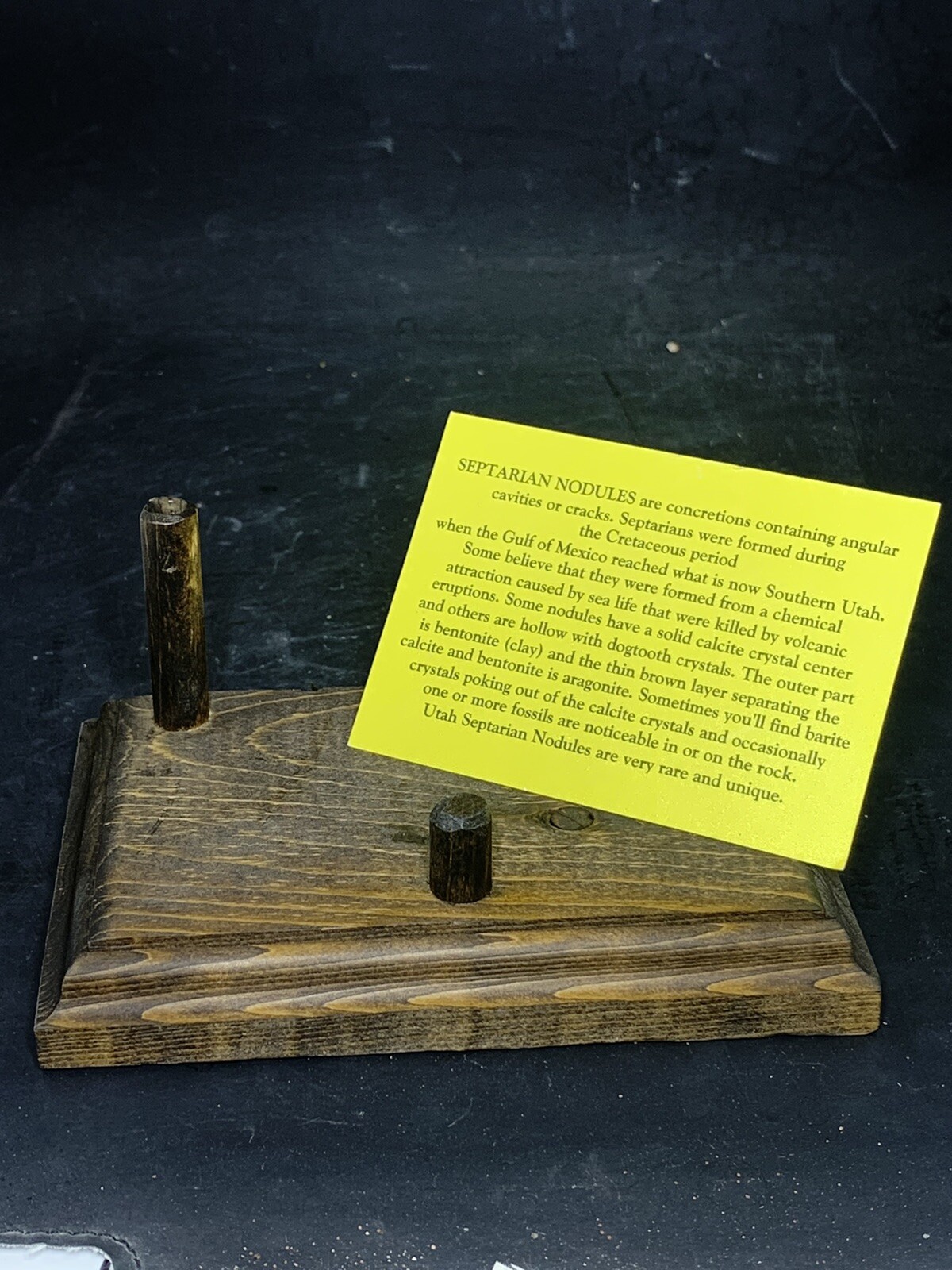 Septarian Nodule Hollow Slab,Dragon Stone ( Utah ) Stand And Description Card