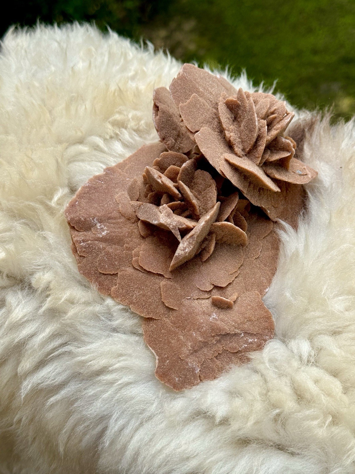 Large Desert Rose Selenite Gypsum Cluster 7” Natural Mineral Specimen 987g