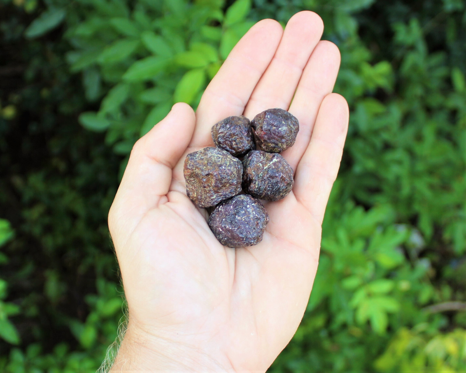 1/2 lb Bulk Lot Rough Natural Red Garnet In Box (Natural Garnet Crystals, 8 oz)