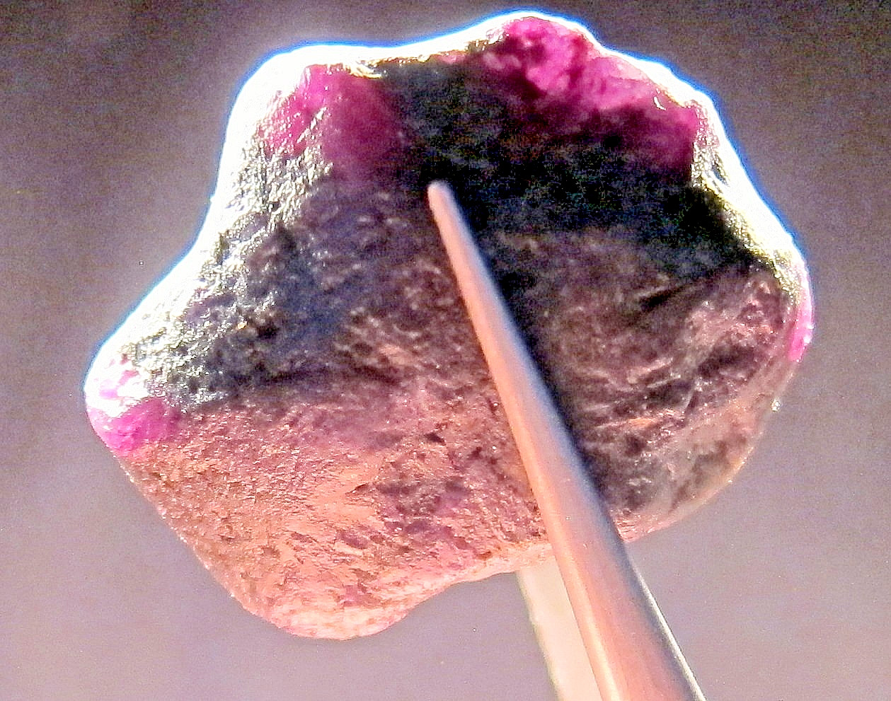 66.4 CT ALEXANDRITE NATURAL ROUGH COLECTOR’S CRYSTAL MINERAL GEM (N9)