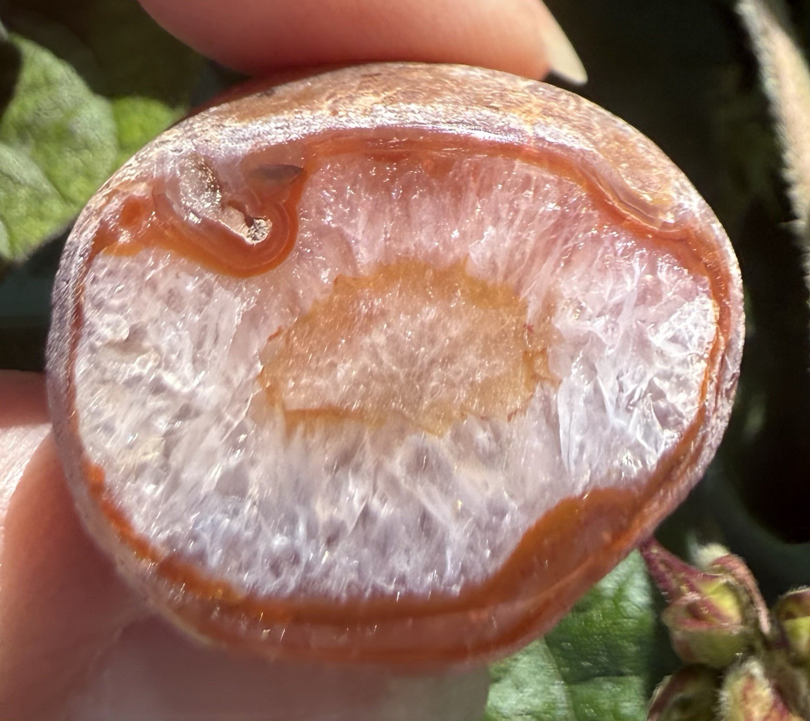 Lake Superior Agate Specimen. 1 1/4”x 1 1/4”x3/4”, 1.2 oz. Each end cut/polished