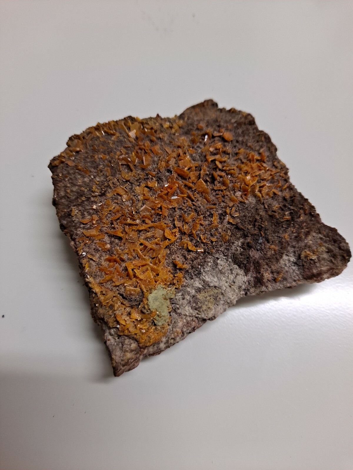 Wulfenite Crystals 2.5 x 2.25 x .5 inches