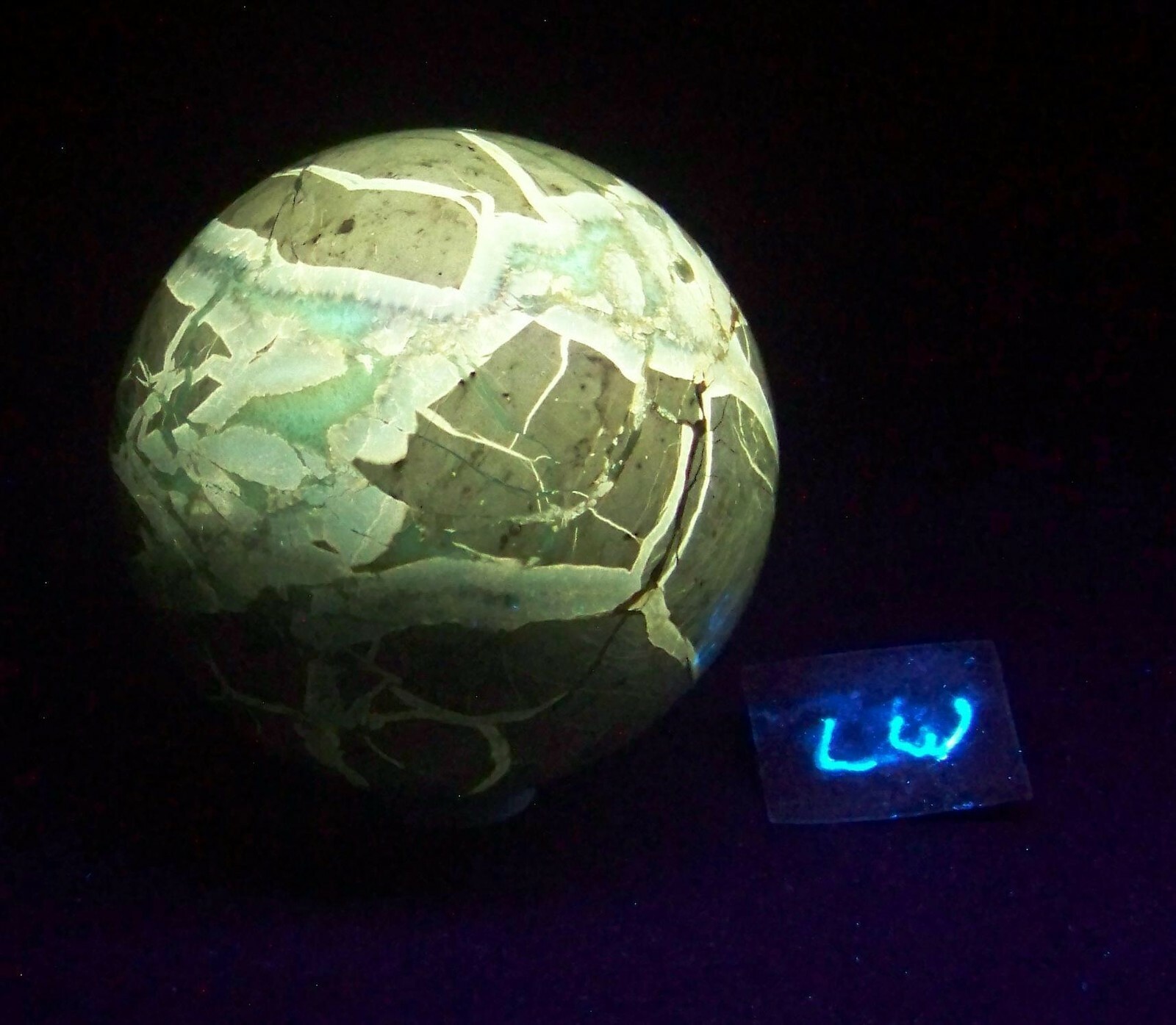 Fluorescent Septarian Nodule Sphere 76mm Collectible or Meditation Ball 4510