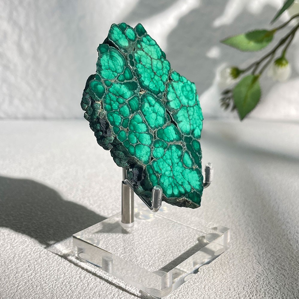Natural Botryoidal Malachite Slice Crystal Specimen With Acrylic Stand 85g