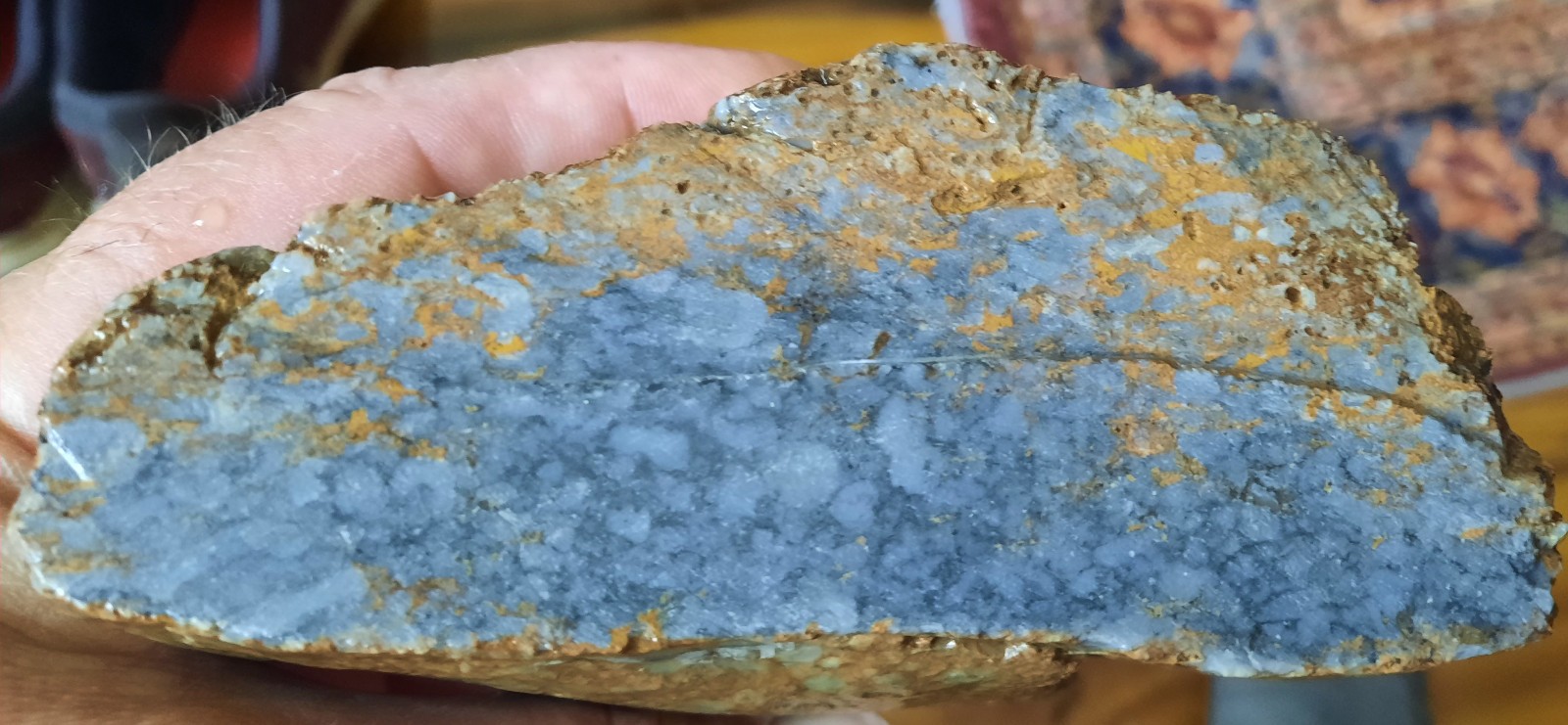 Blue Agatized Criniod Stems Bedrock from Southern Kentucky. 4355 Carats