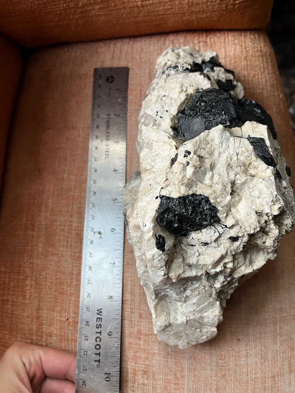 HUGE 6lb 9” Black Tourmaline Schorl Crystals In Matrix Maine USA Locality Quartz