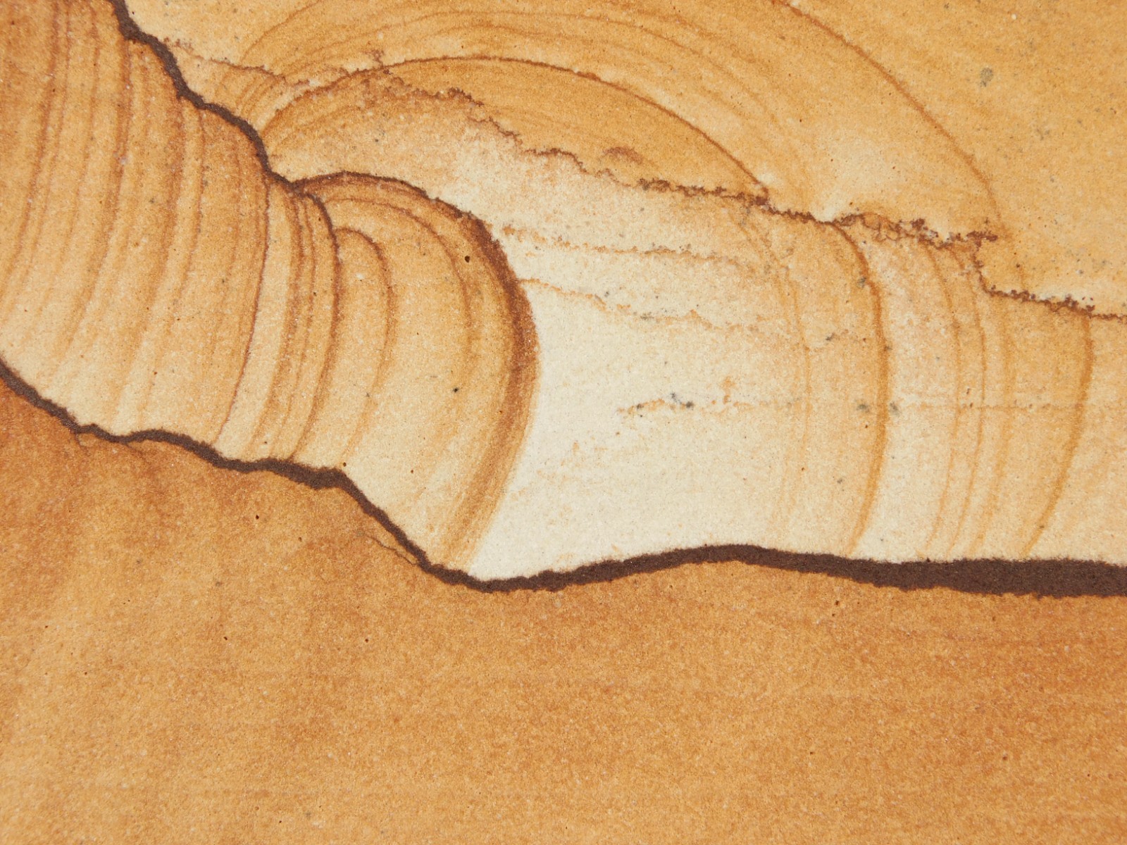 PICTURE Stone or SANDSTONE Slab with Display Stand From Utah 260gr
