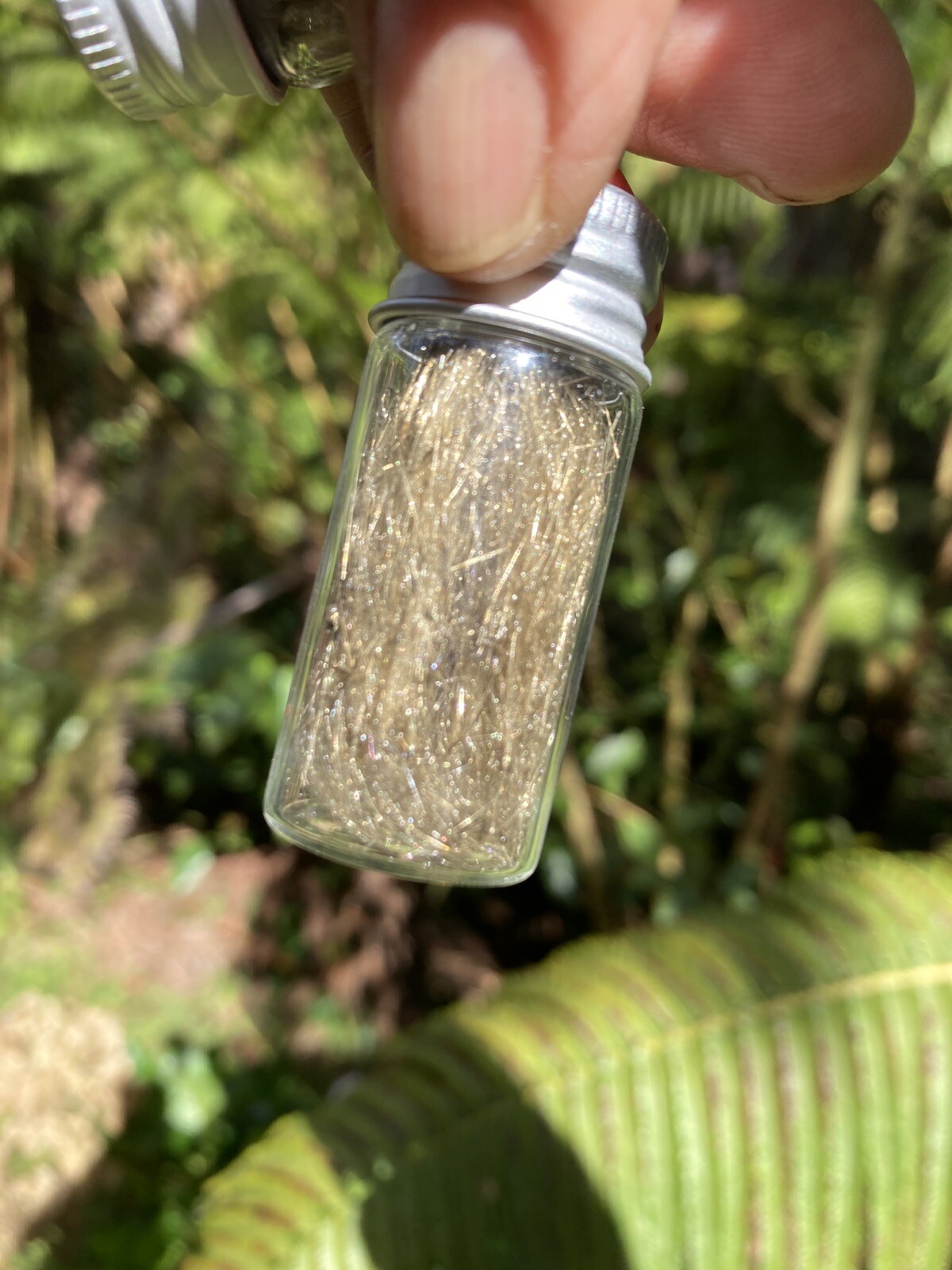 Olivine Crystal Volcanic, Pele’s Hair, Olivine Mineral Glass Specimens ￼10ml.