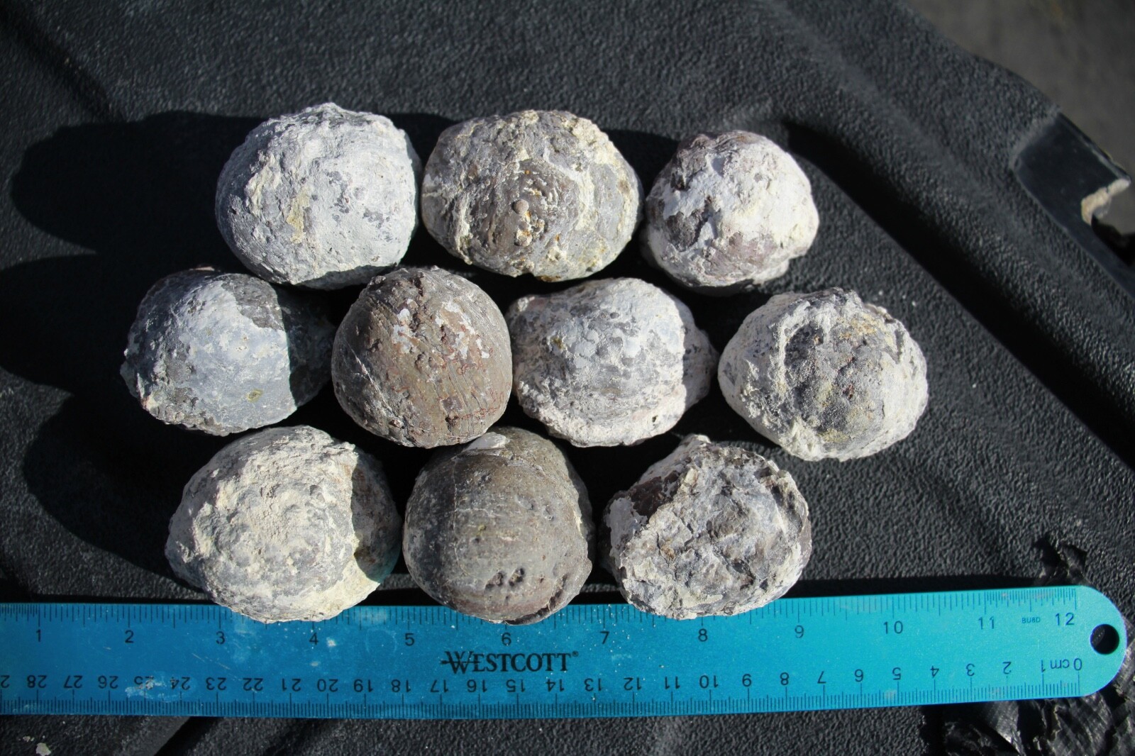 Bag of 50, Whole Dugway Geodes • 2.0″ – 2.5″ diameter