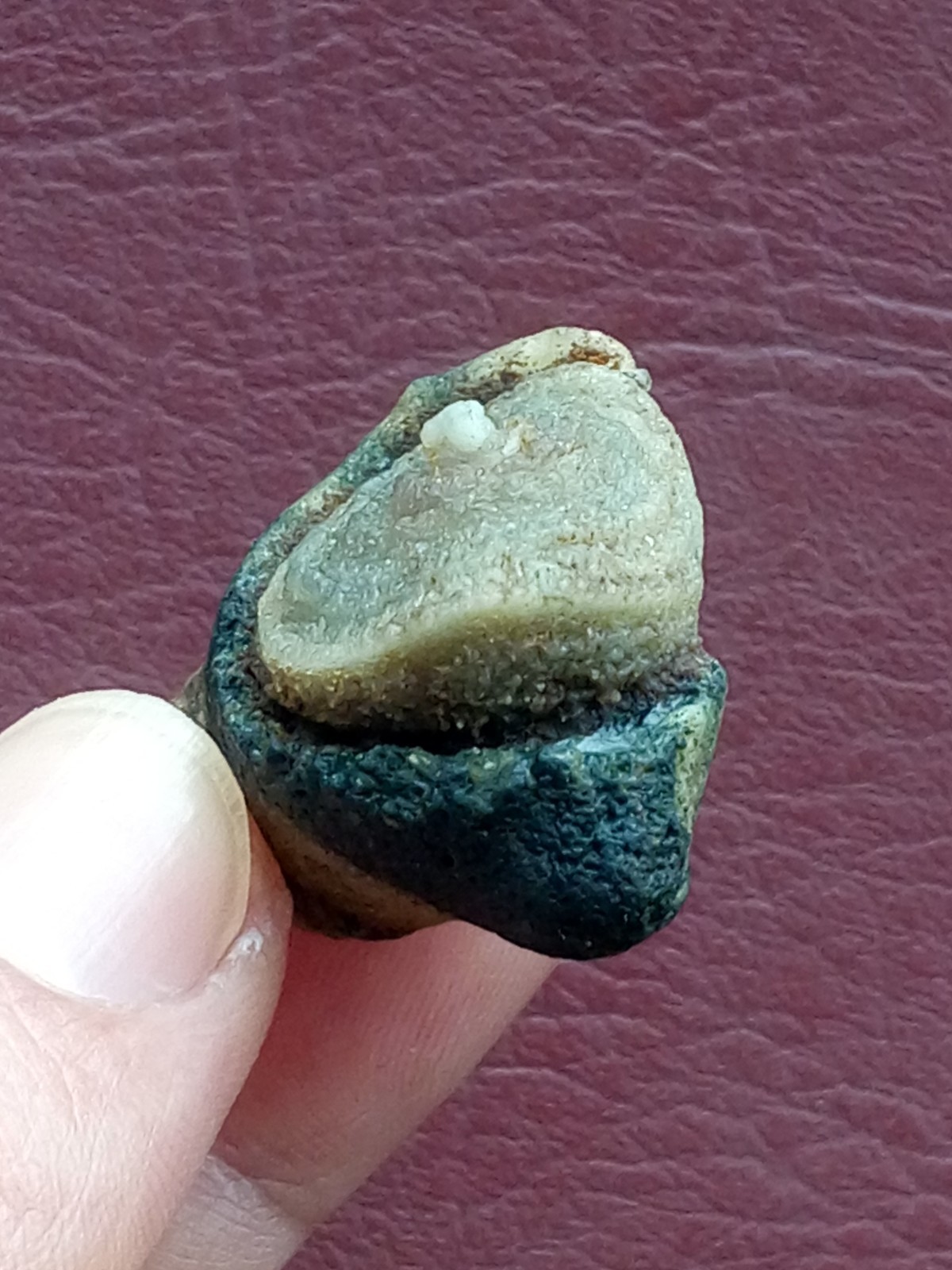 36mm Natural Gobi agate eye agate stone cute collection