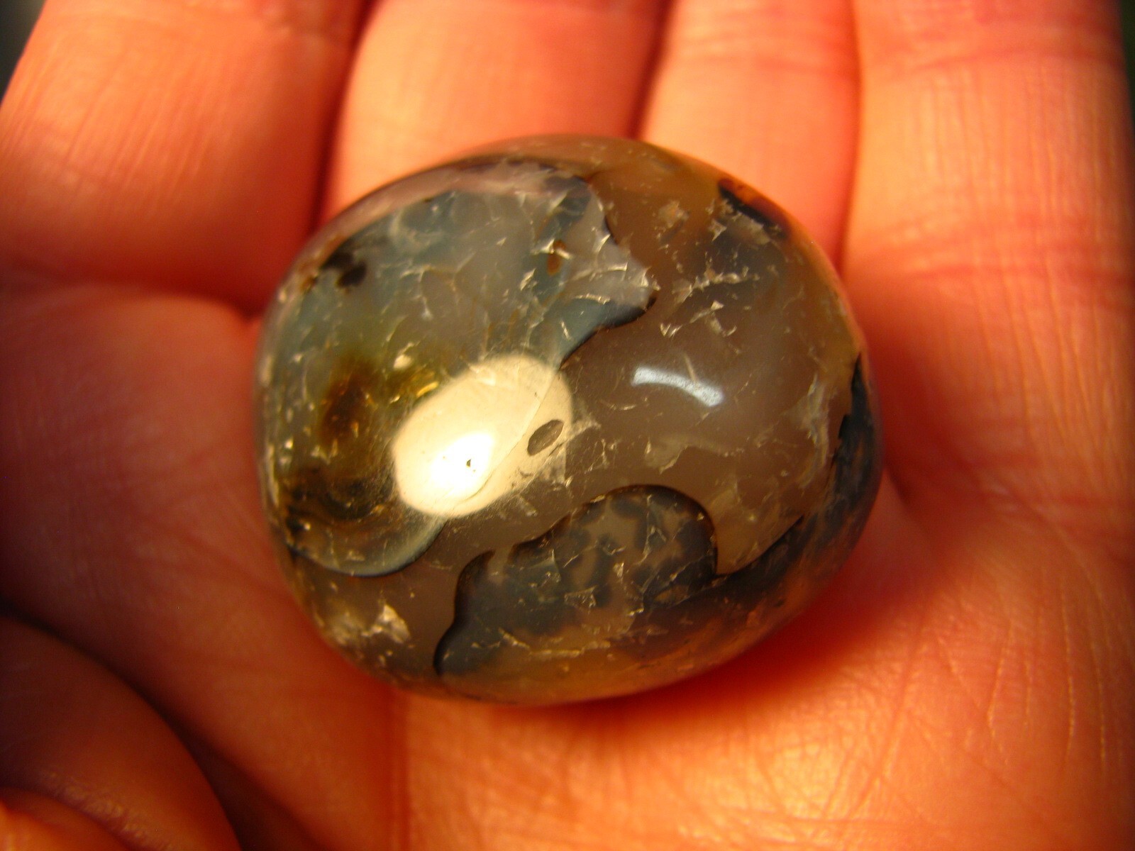 41g 40mm DENDRITIC CHALCEDONY AGATE PALM STONE MADAGASCAR MAD CRAZY LACE #014