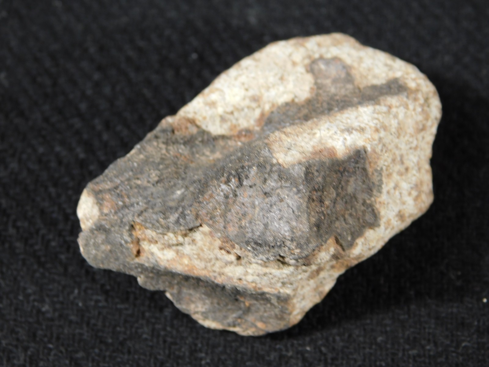 Classified NWA 8245 METEORITE 100% Natural FELL on Erfoud, Morocco 68.1gr
