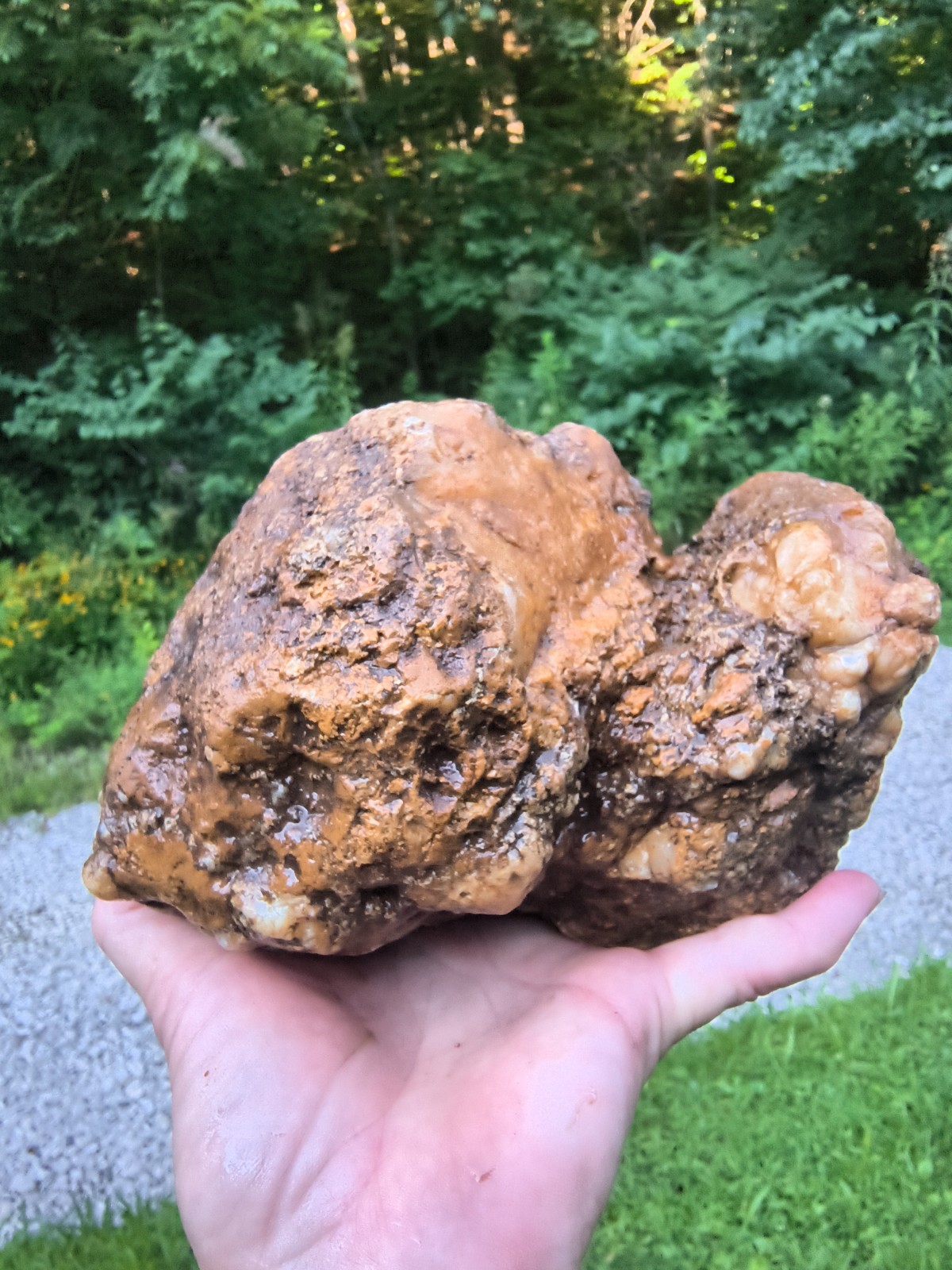 7.06 lb Kentucky Geode Unopened Large Natural Crystal Geode 8″ Feels Hollow