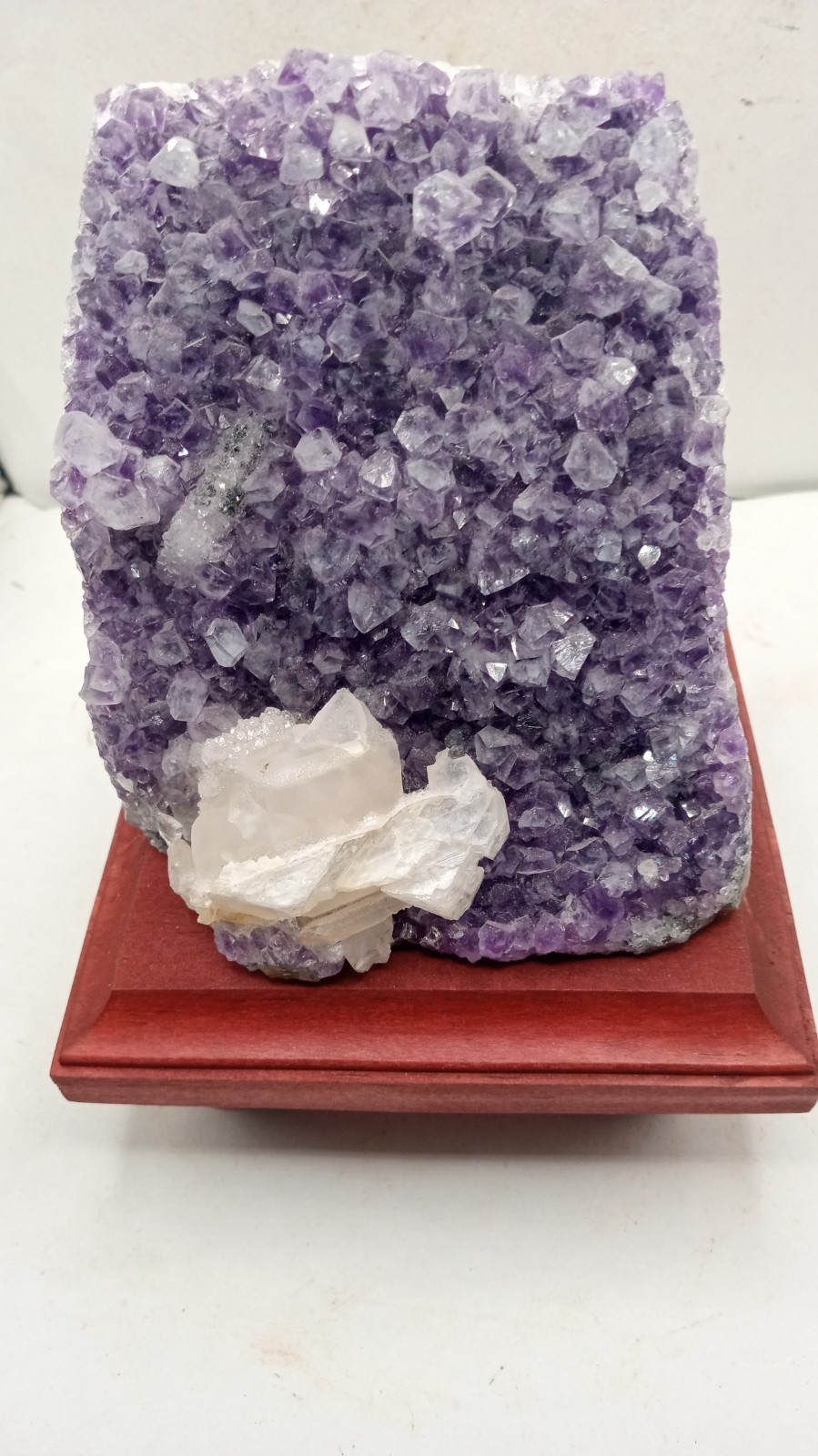 Amethyst with Stunning Rare Fluorite Uruguay ~
