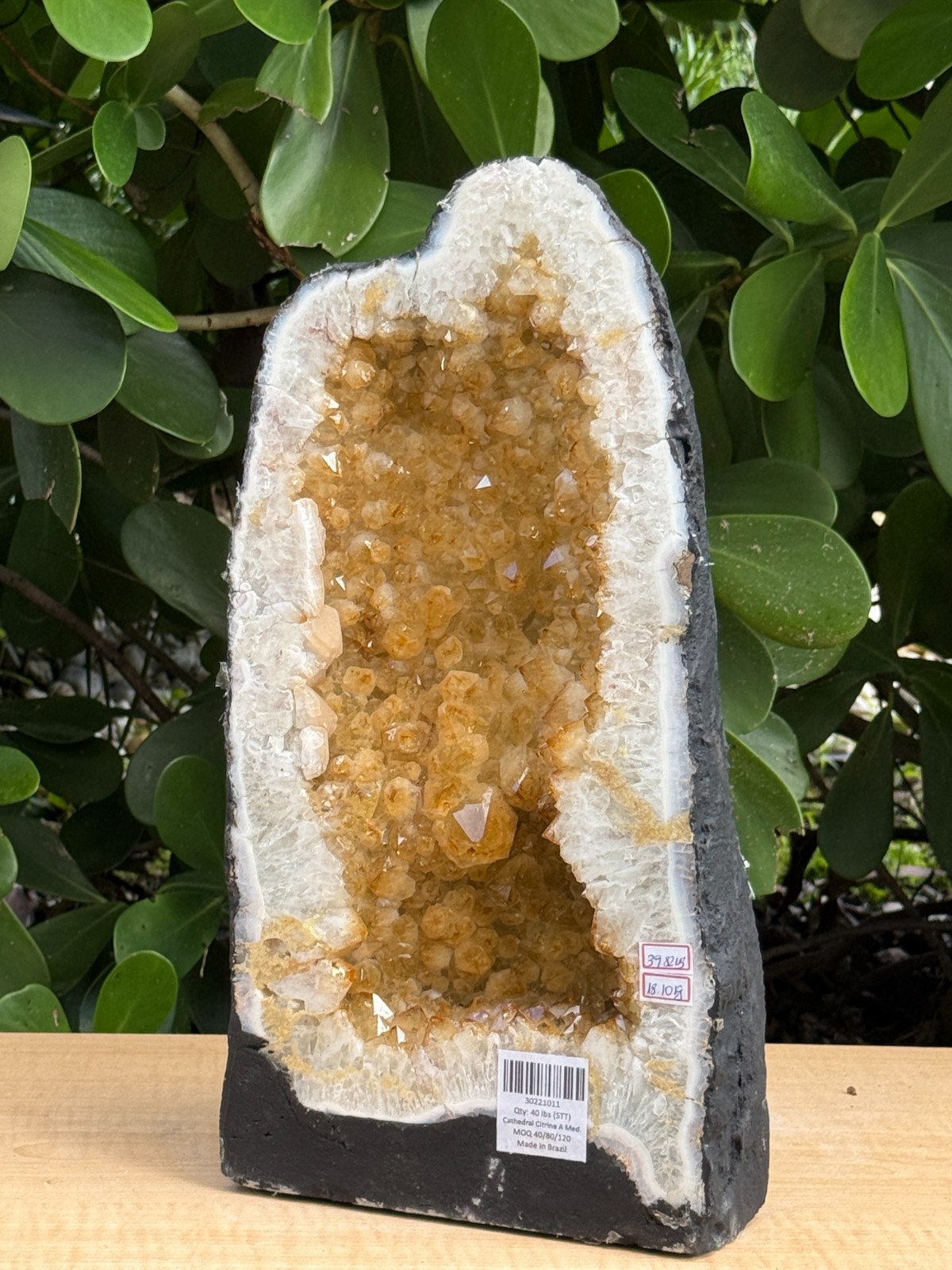 X-Large Citrine Cathedral, Citrine Geode, Honey Citrine Cluster, Pick a Weight