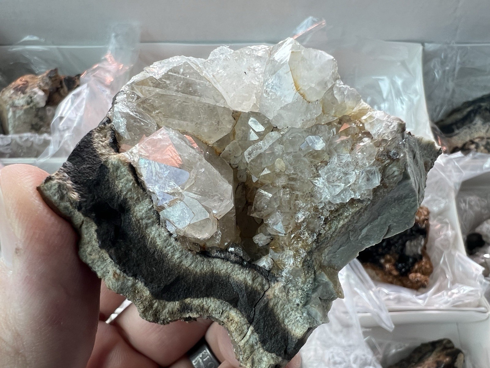12 Quartz & Siderite Specimens – Potosí Mine, Santa Eulalia, Chihuahua, Mexico