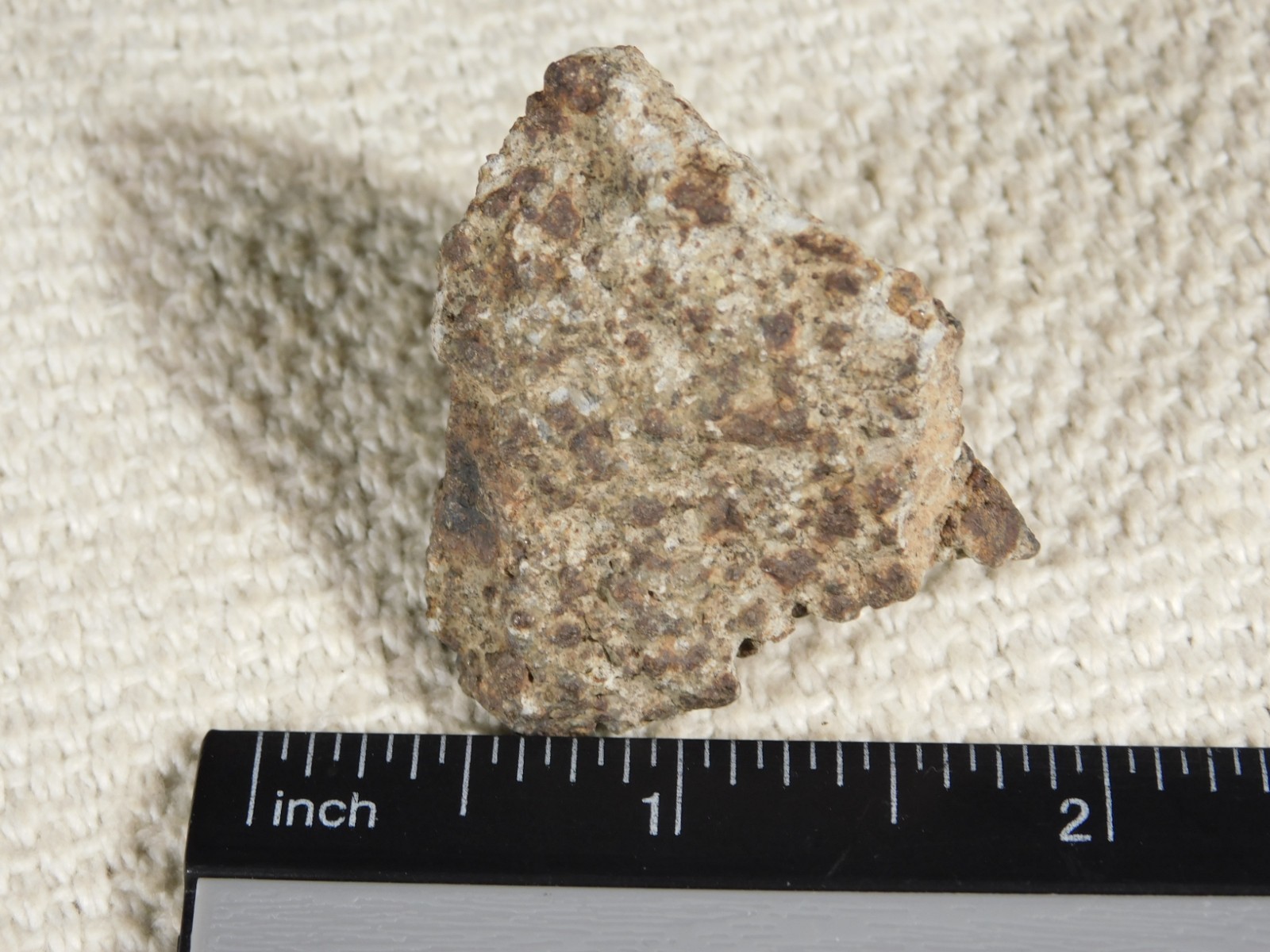 Classified NWA 8245 METEORITE 100% Natural FELL on Erfoud, Morocco 47.3gr