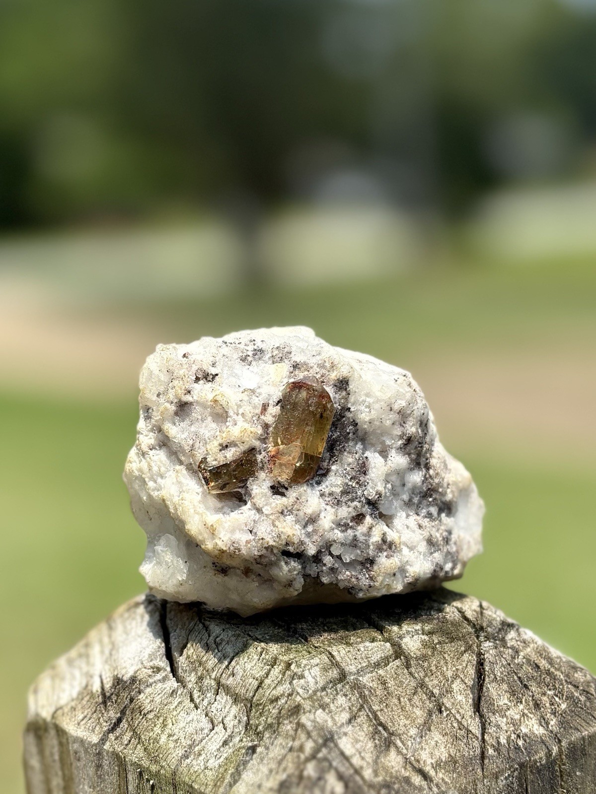 Apatite Crystals with Quartz & Magnetite – from Durango, Mexico