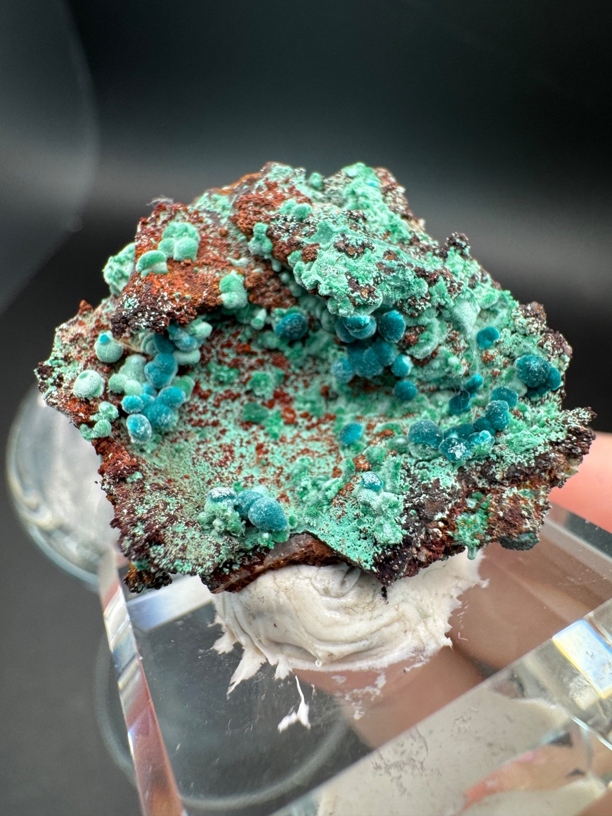 6757 Rosasite and Malachite on Matrix in Perky 8g Ojuela Mine, MX