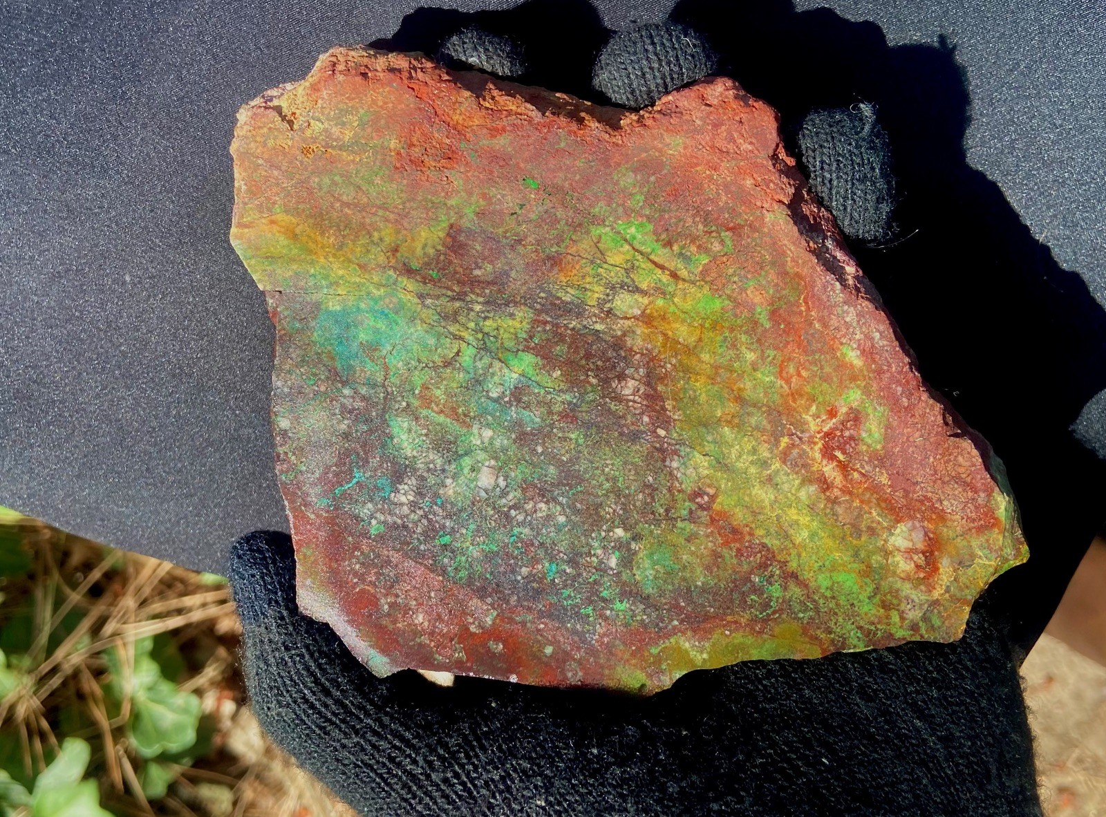 Parrot Wing Chrysocolla Colorful AA Big Slab Untreated No Cracks 212 Gram 7.5 Oz