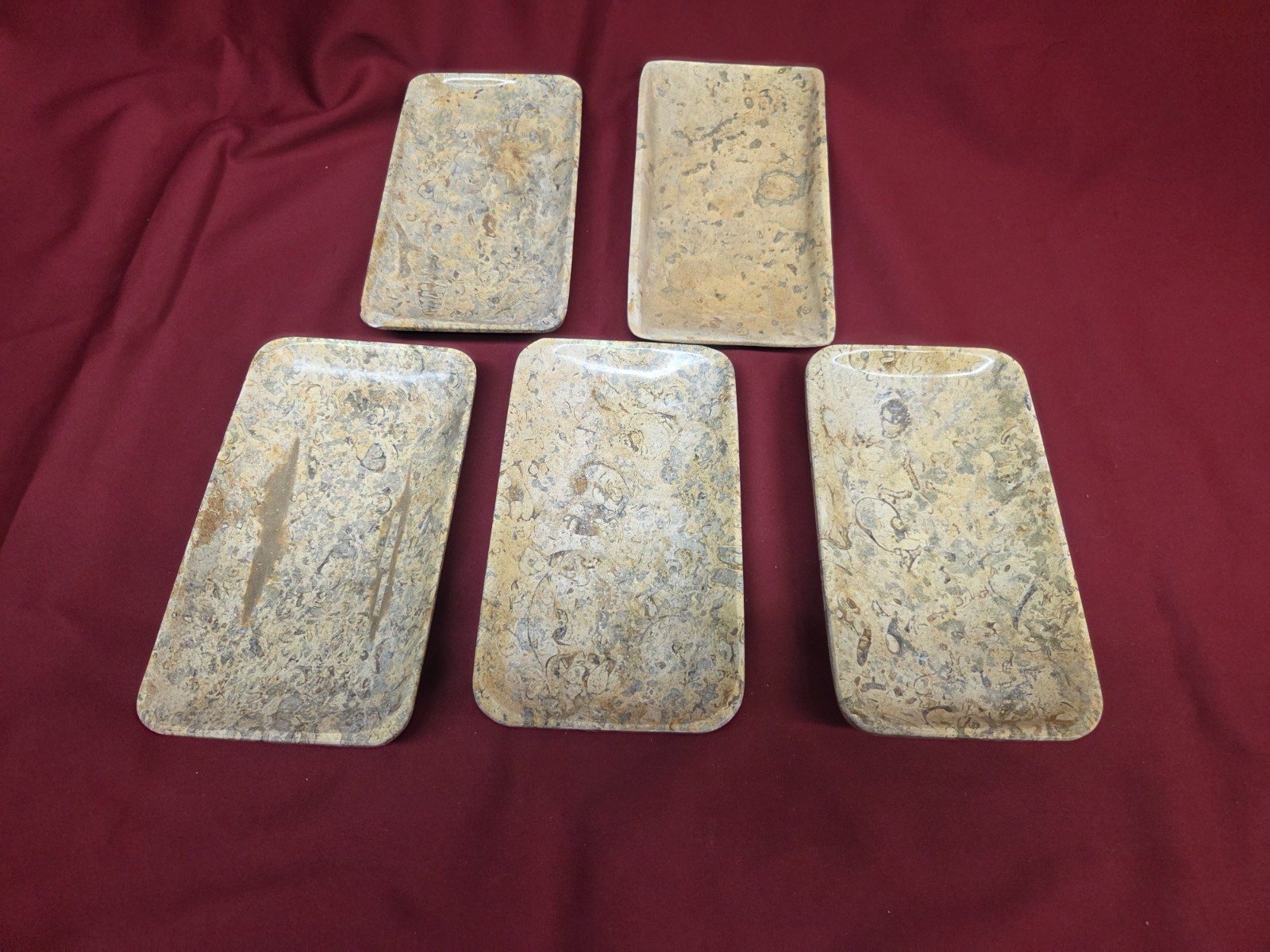 Tray 4×8 Fossil Stone (5 Pieces)