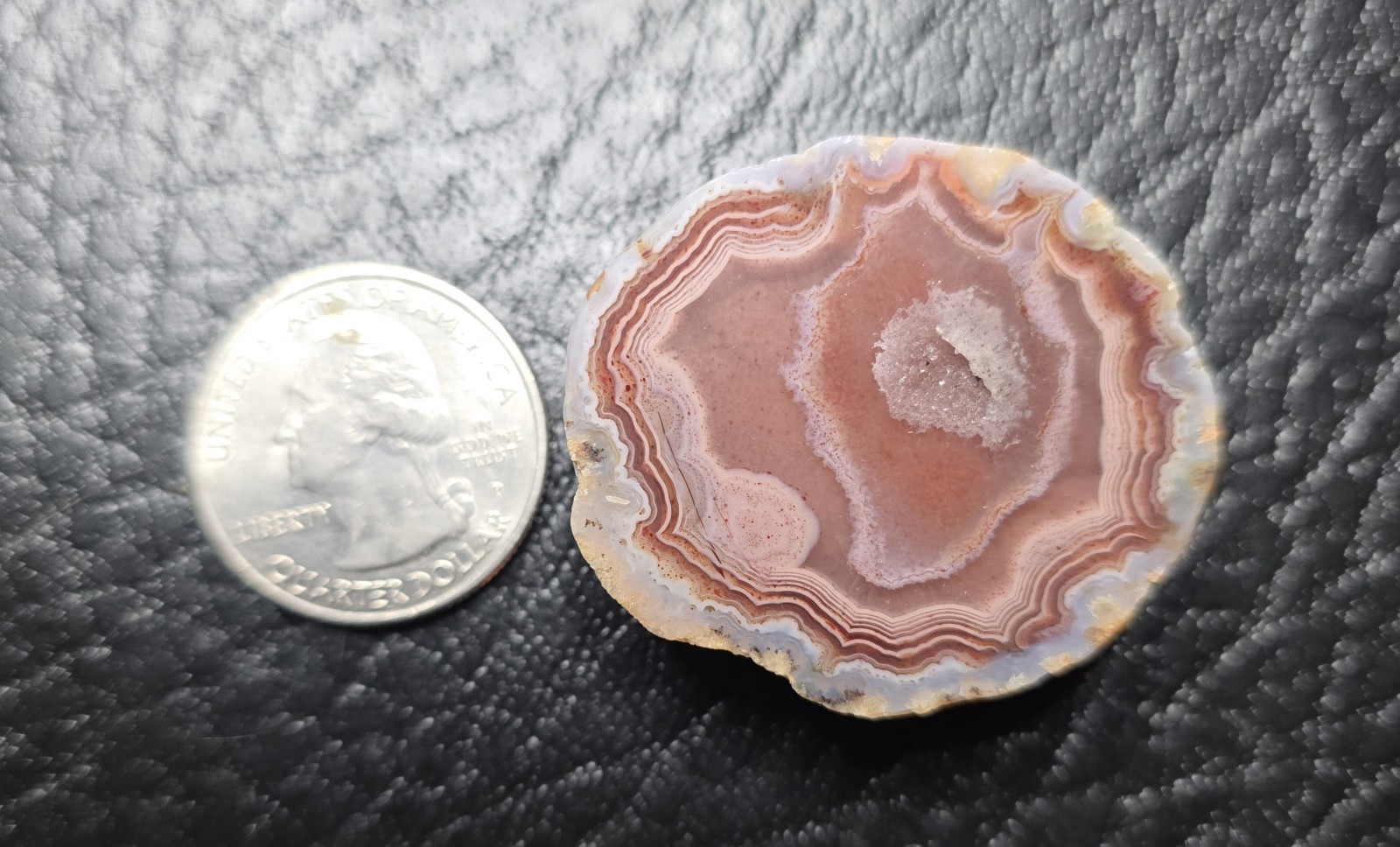 Kentucky Agate Display Specimen-Purple, pink, and blue with Polished Face # S-71