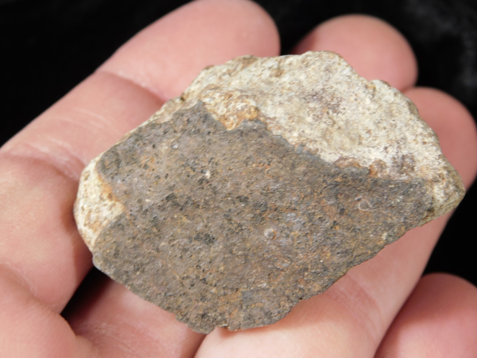Classified NWA 8245 METEORITE 100% Natural FELL on Erfoud, Morocco 68.0gr