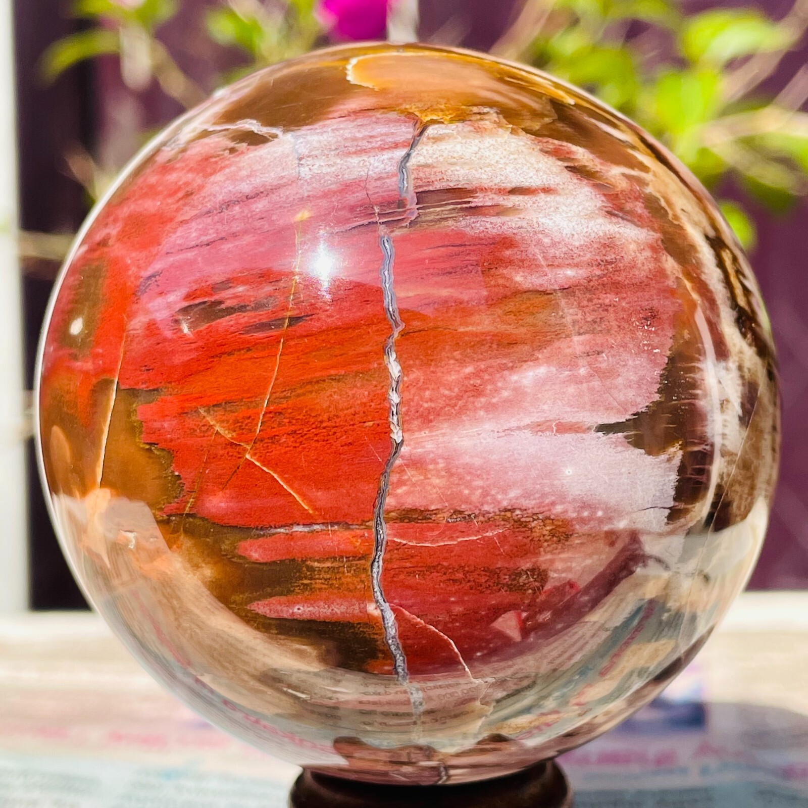 488g Natural Red Petrified Wood Crystal Ball Fossil Polished Sphere Specimen
