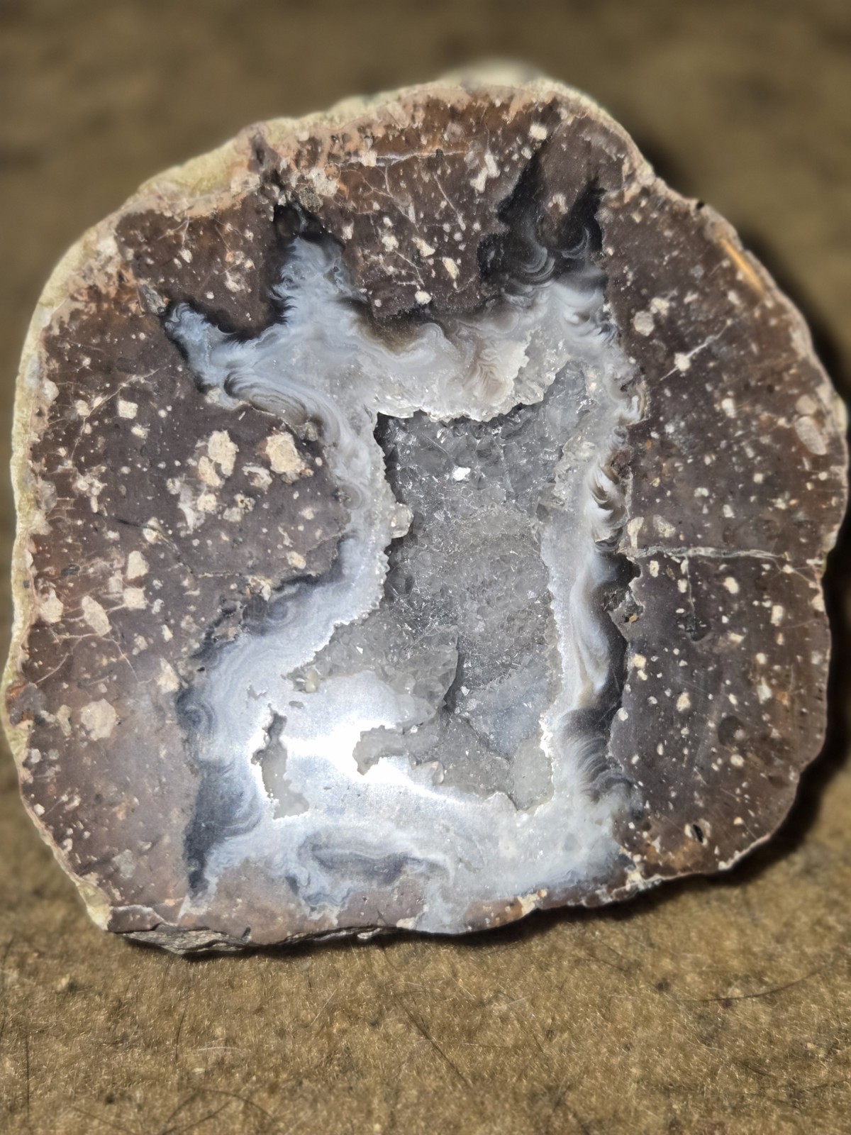 Agate Geode Nodule Cut Cross-Section Specimen w/ Druzy Quartz Center