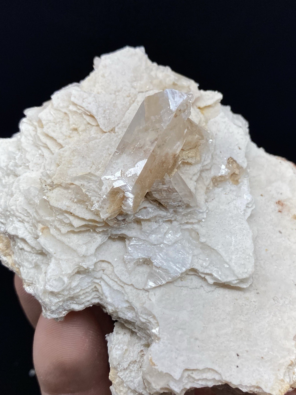 Selenite on Gypsum from Chihuahua, Mexico – Free Shipping