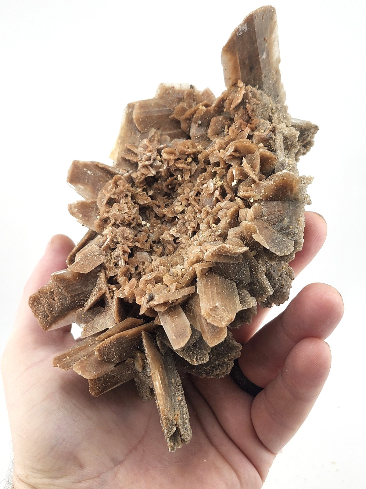 Hourglass Selenite Gypsum Crystal Cluster Oklahoma Old Stock 410 Grams