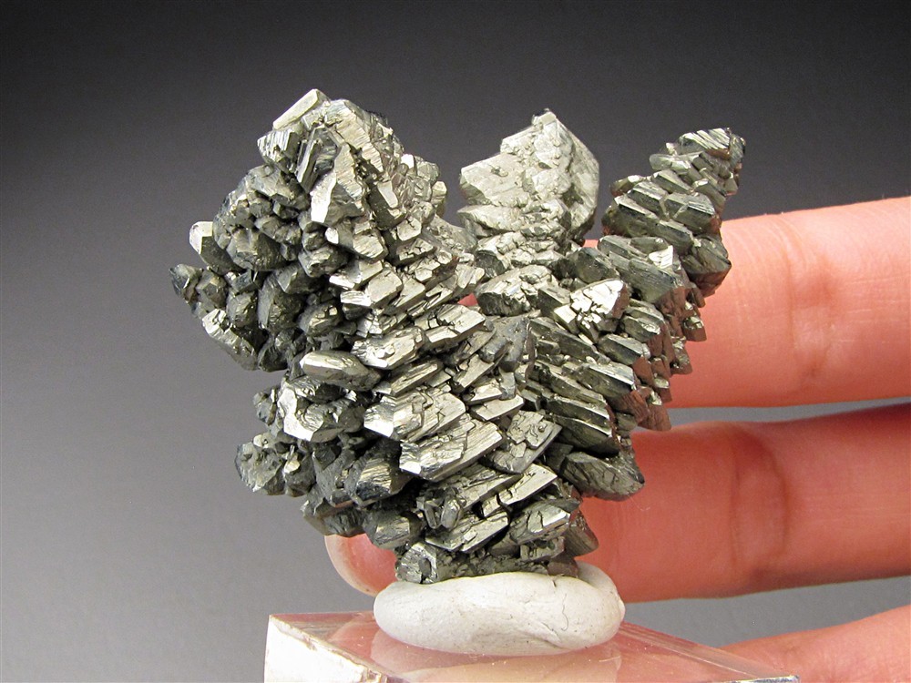 Marcasite Crystals, Bohemia, Czech Republic