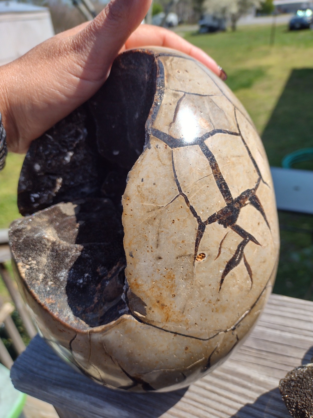 Huge Septarian Dragon Egg Over 15lbs Carving Crystal Stone Polished