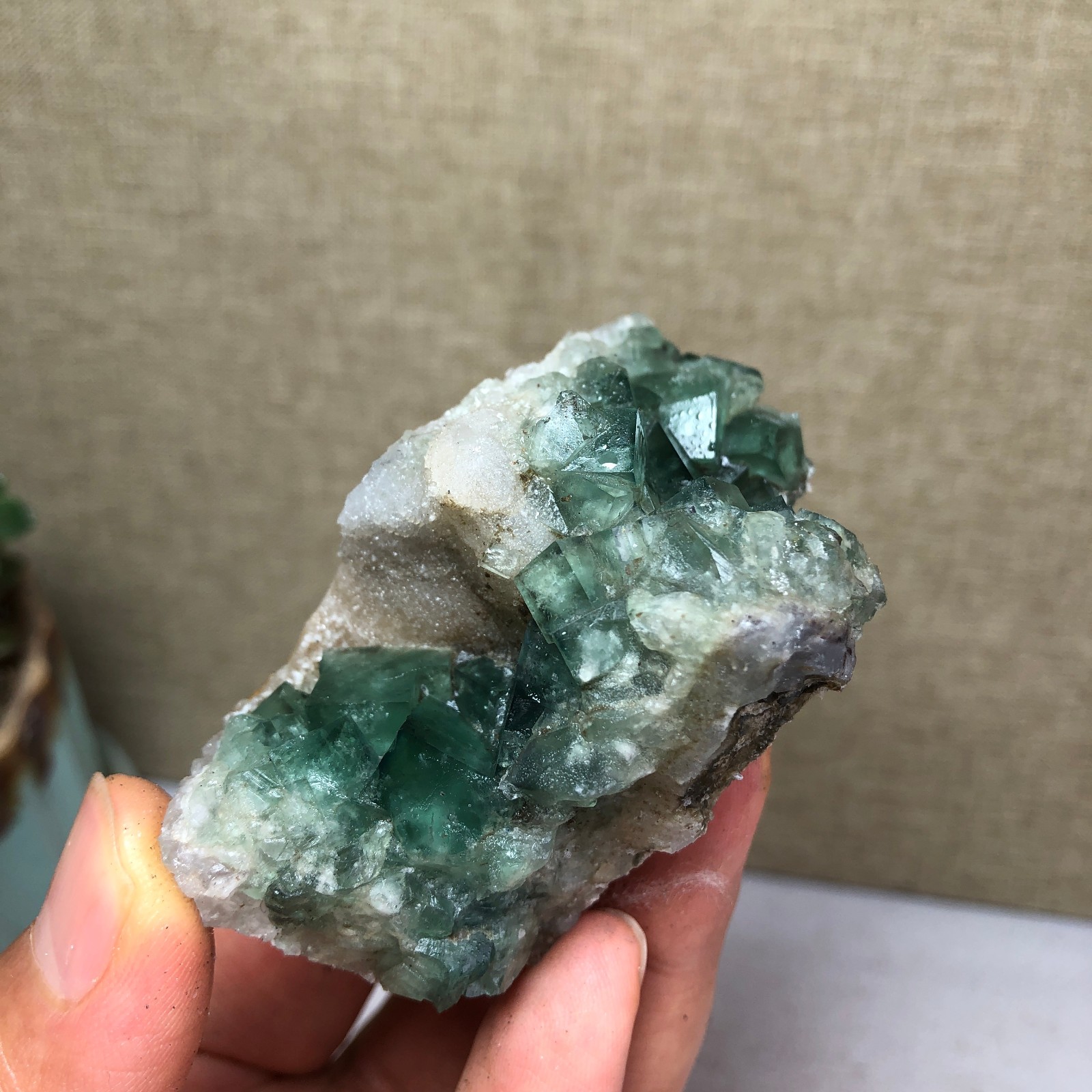 101g NATURAL Green Cubic FLUORITE Crystal Cluster Mineral Specimen A4737